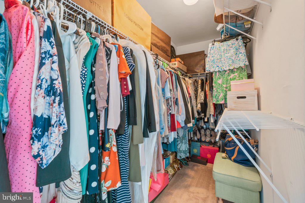 HOLTER - Residential