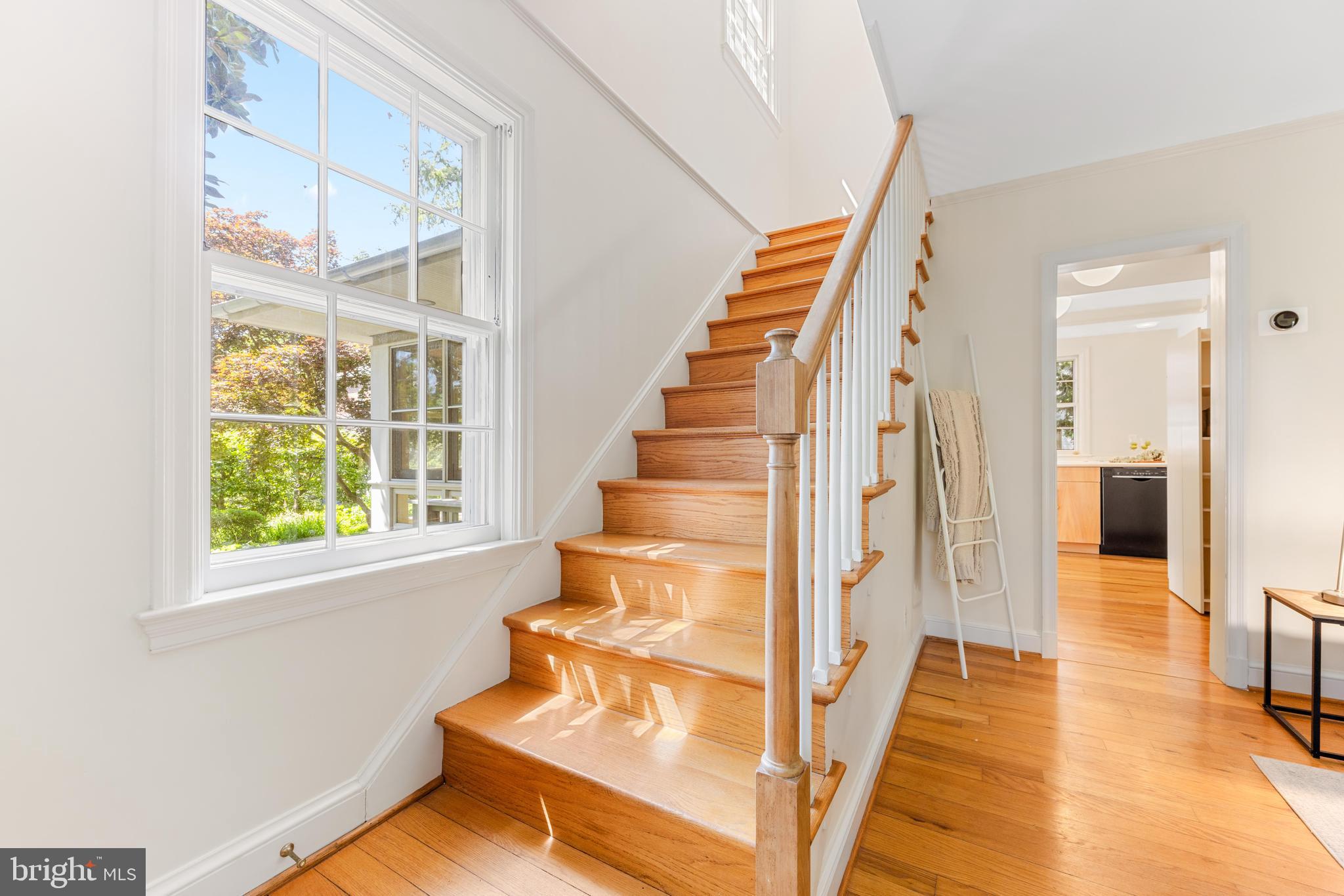 HOMELAND HISTORIC DISTRICT - Residential