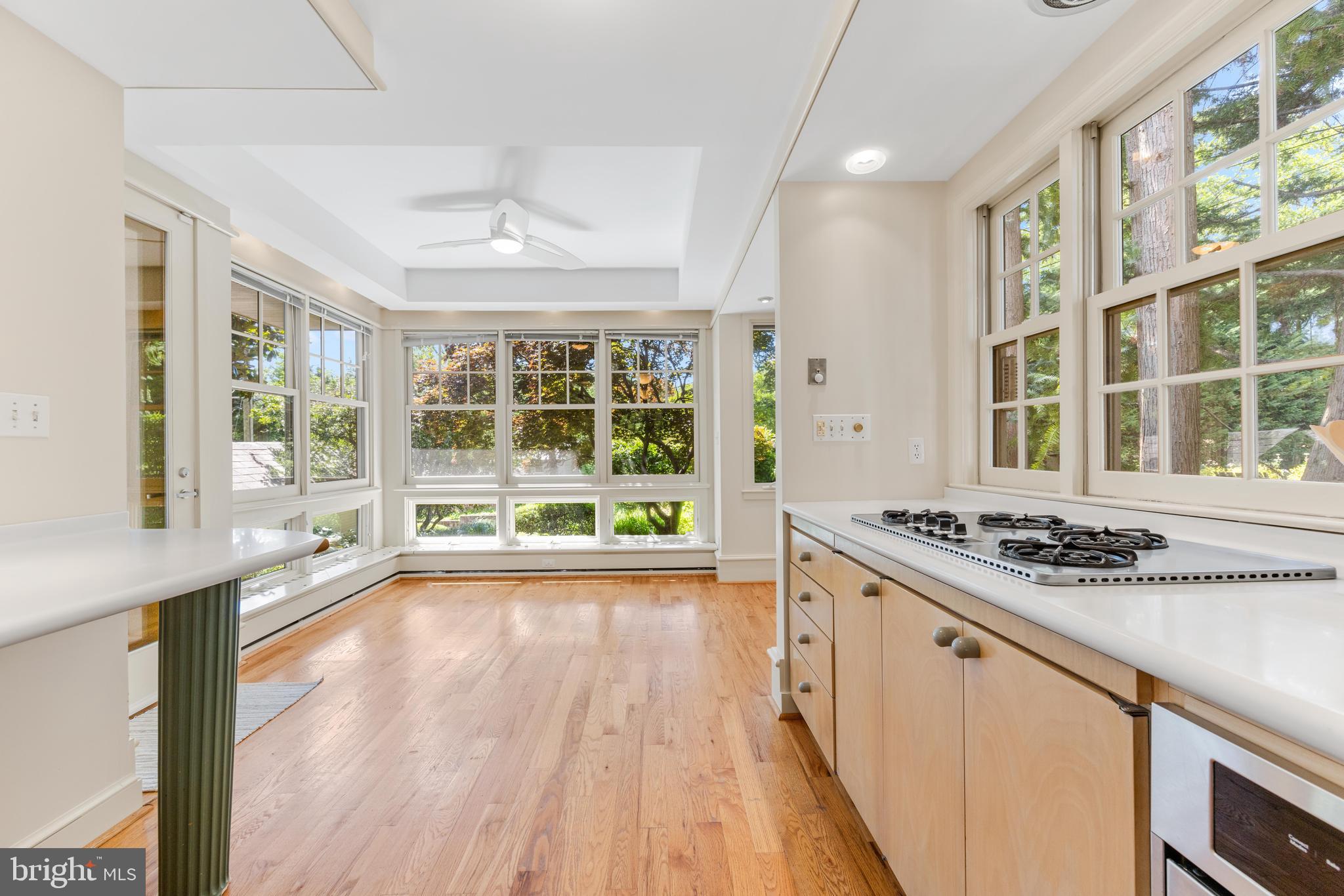 HOMELAND HISTORIC DISTRICT - Residential