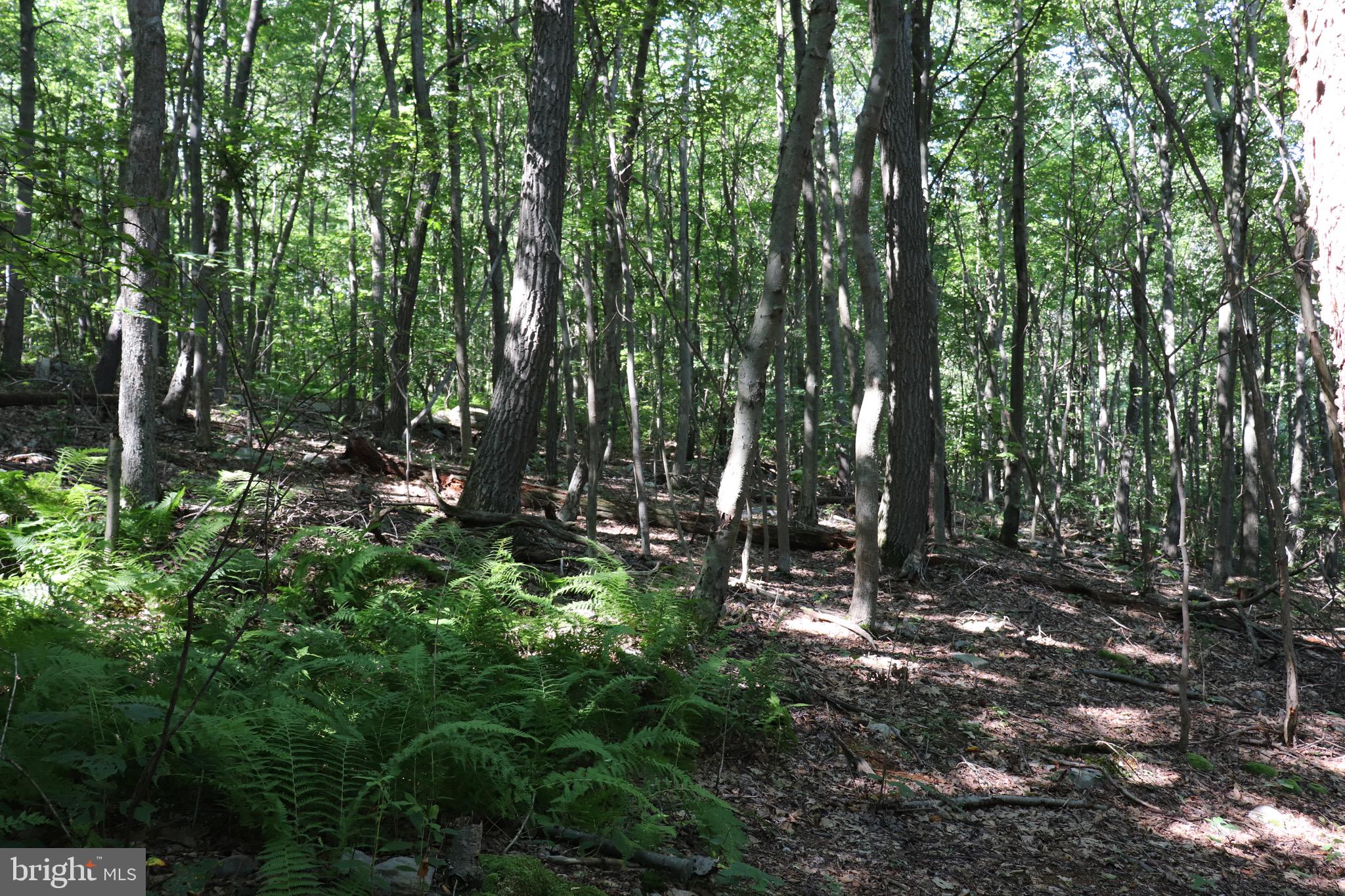 LOT 312 RIDGE RUN