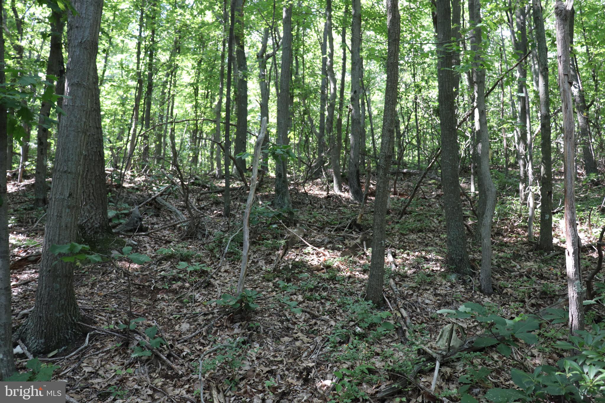 LOT 312 RIDGE RUN
