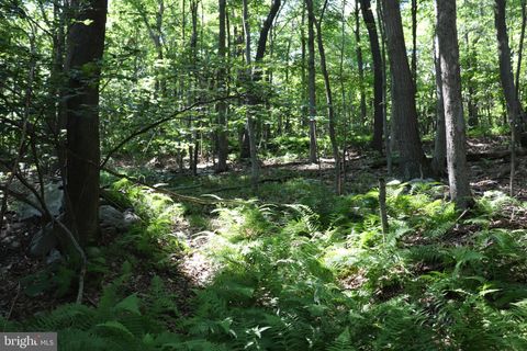 Vacant Land For Sale - Lot 312 Ridge Run<br/> CLAYSBURG, PA 16625