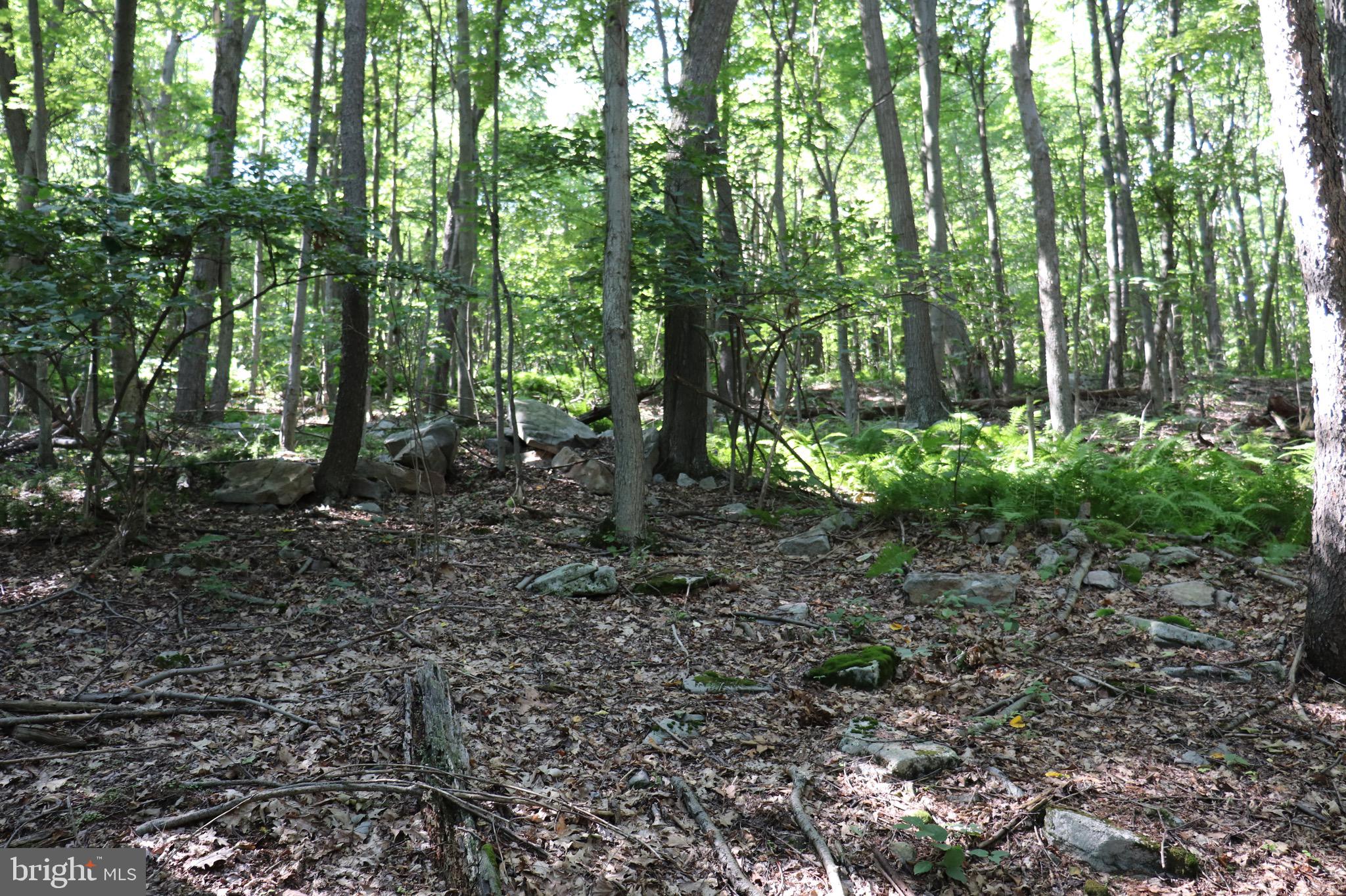 LOT 312 RIDGE RUN