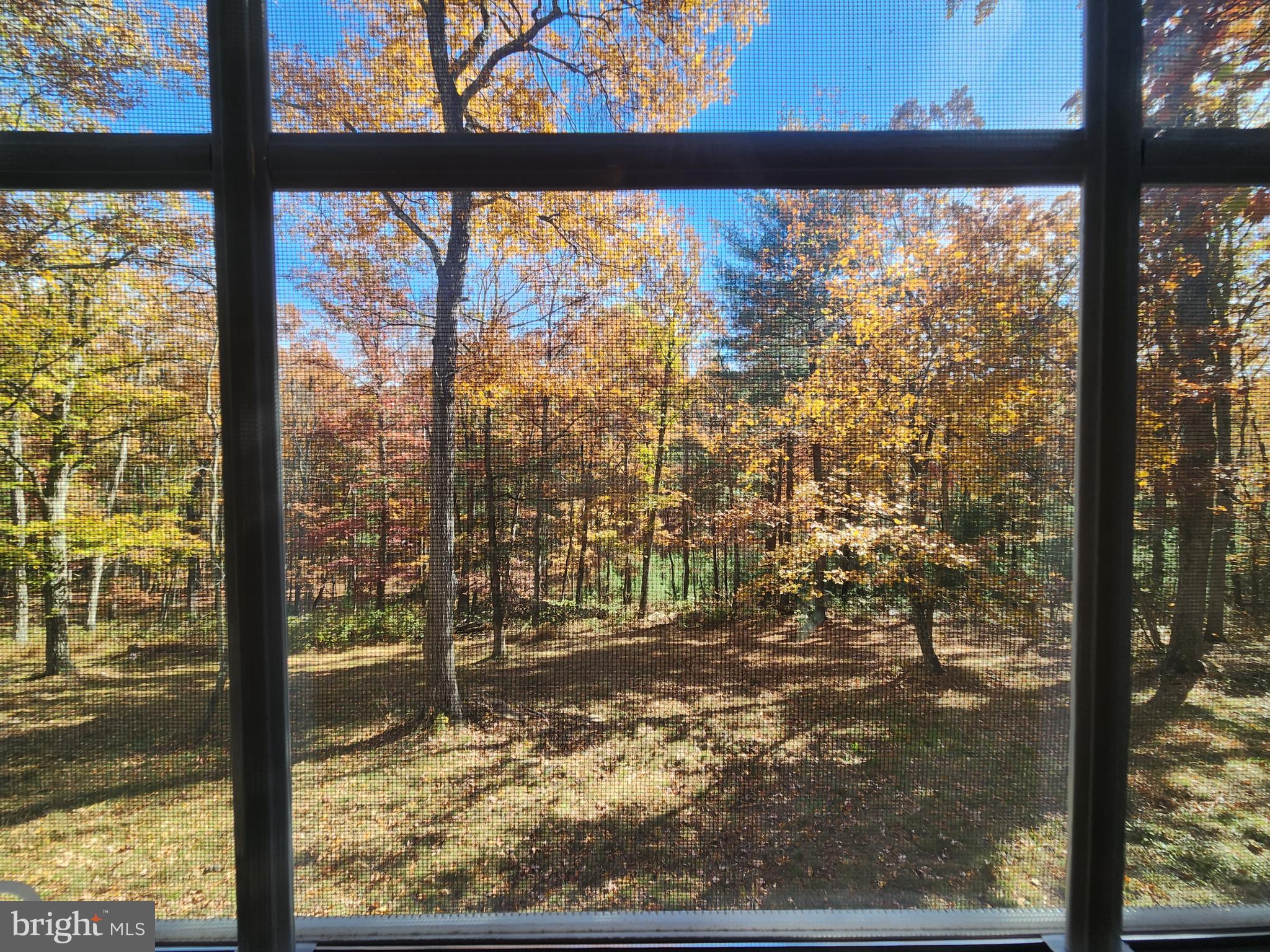 STAGECOACH STOP @ CAPON BRIDGE - Residential