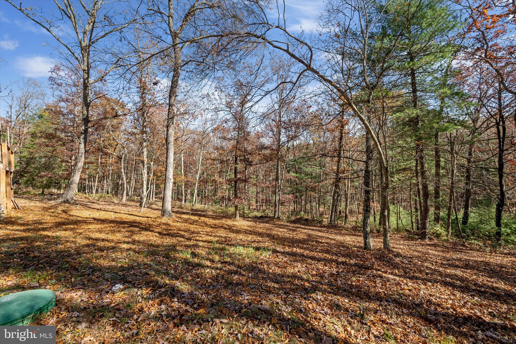 STAGECOACH STOP @ CAPON BRIDGE - Residential