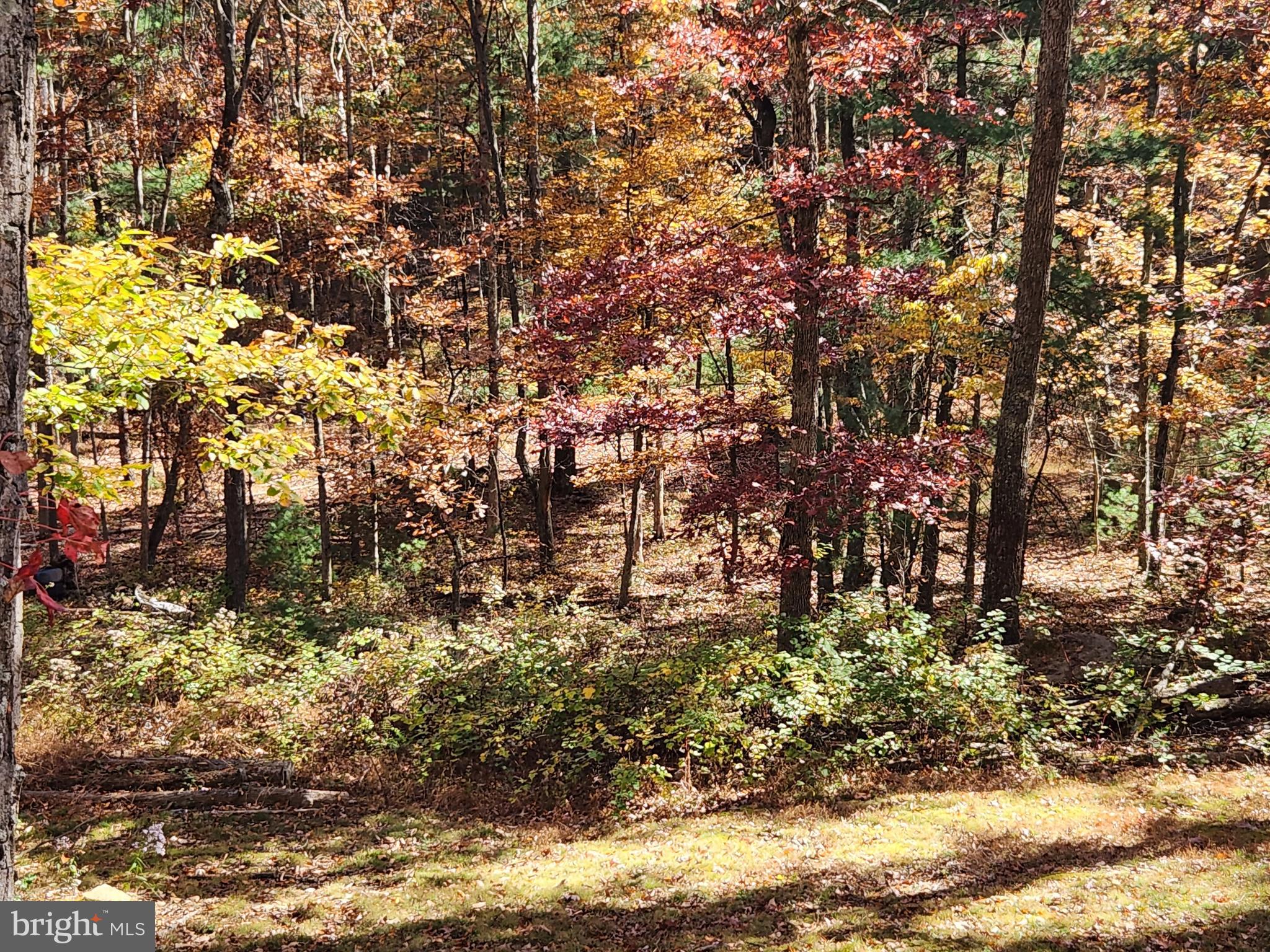 STAGECOACH STOP @ CAPON BRIDGE - Residential