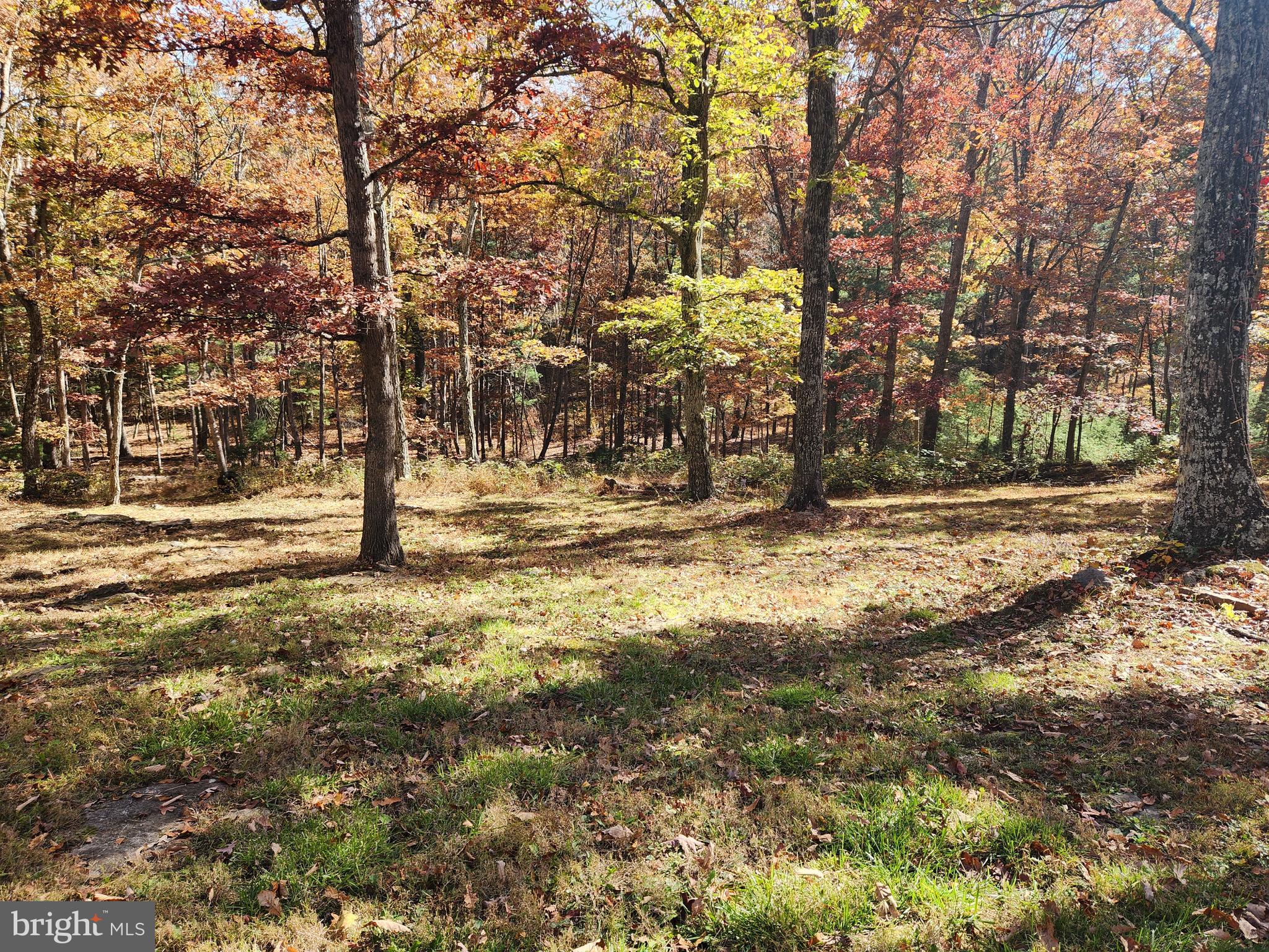 STAGECOACH STOP @ CAPON BRIDGE - Residential