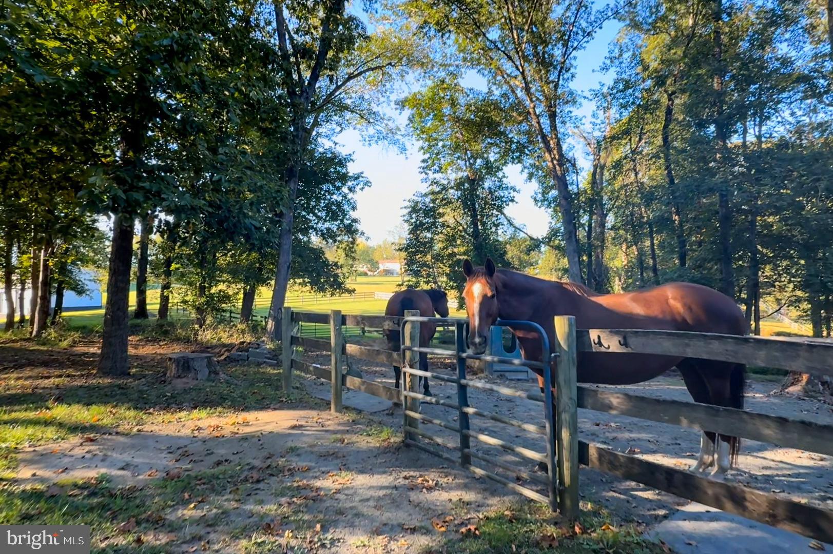 WEST FRIENDSHIP - Residential