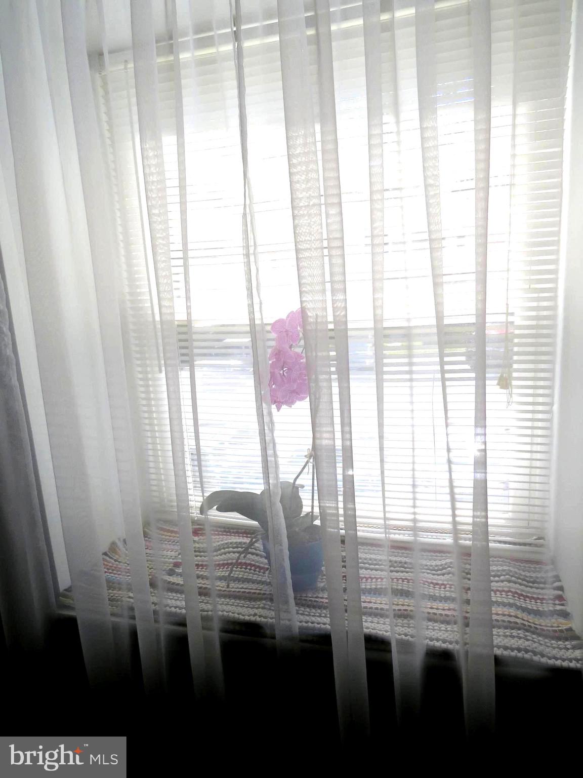 WILLOW HILLS - Residential