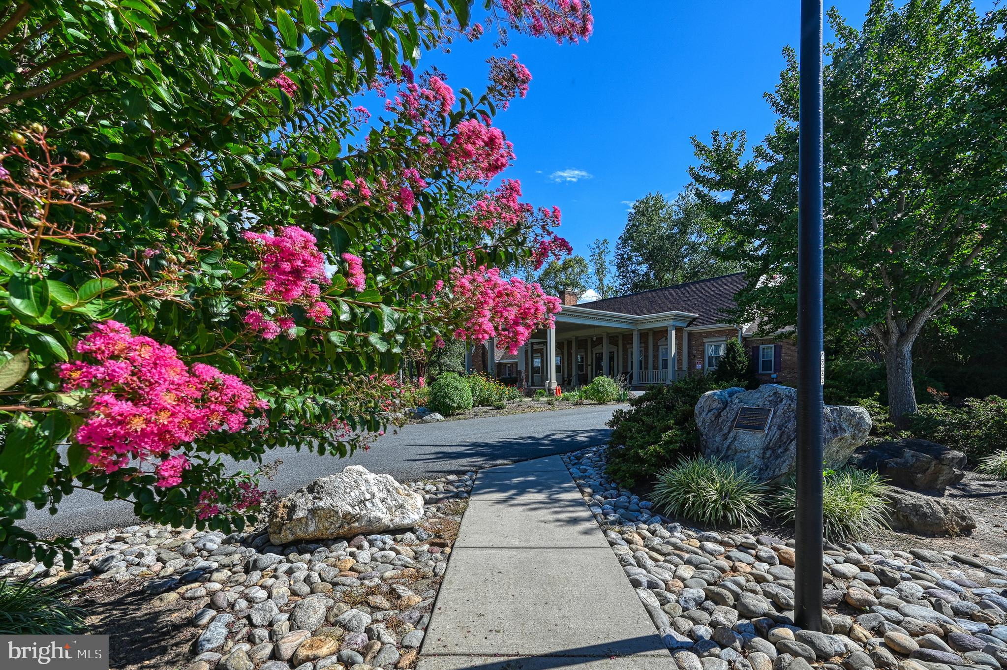LAKE OF THE WOODS - Residential