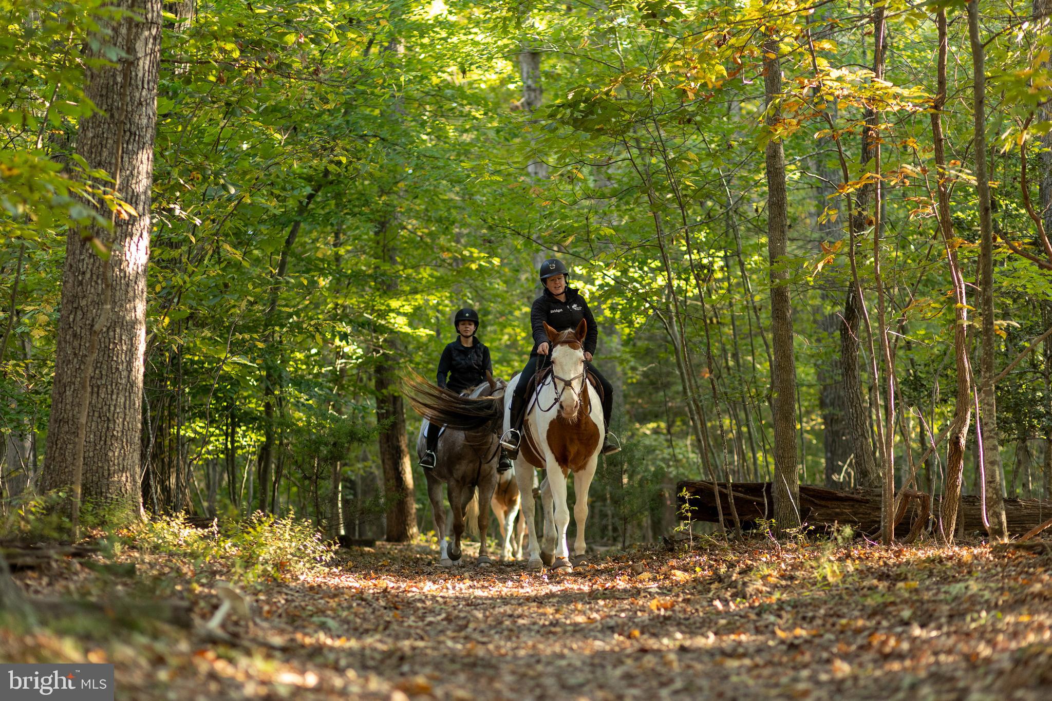 LAKE OF THE WOODS - Residential