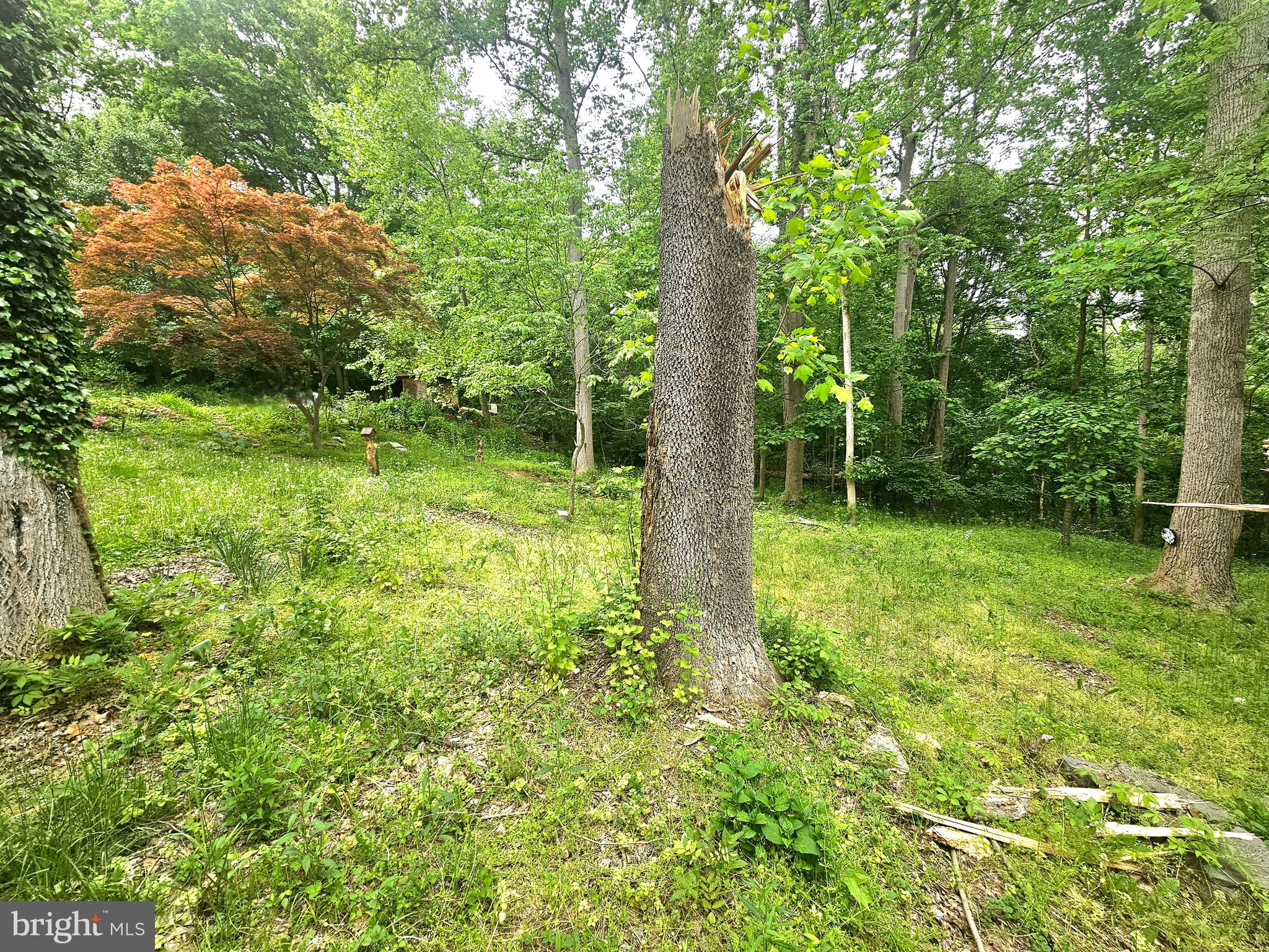 POTOMAC HILLS - Residential