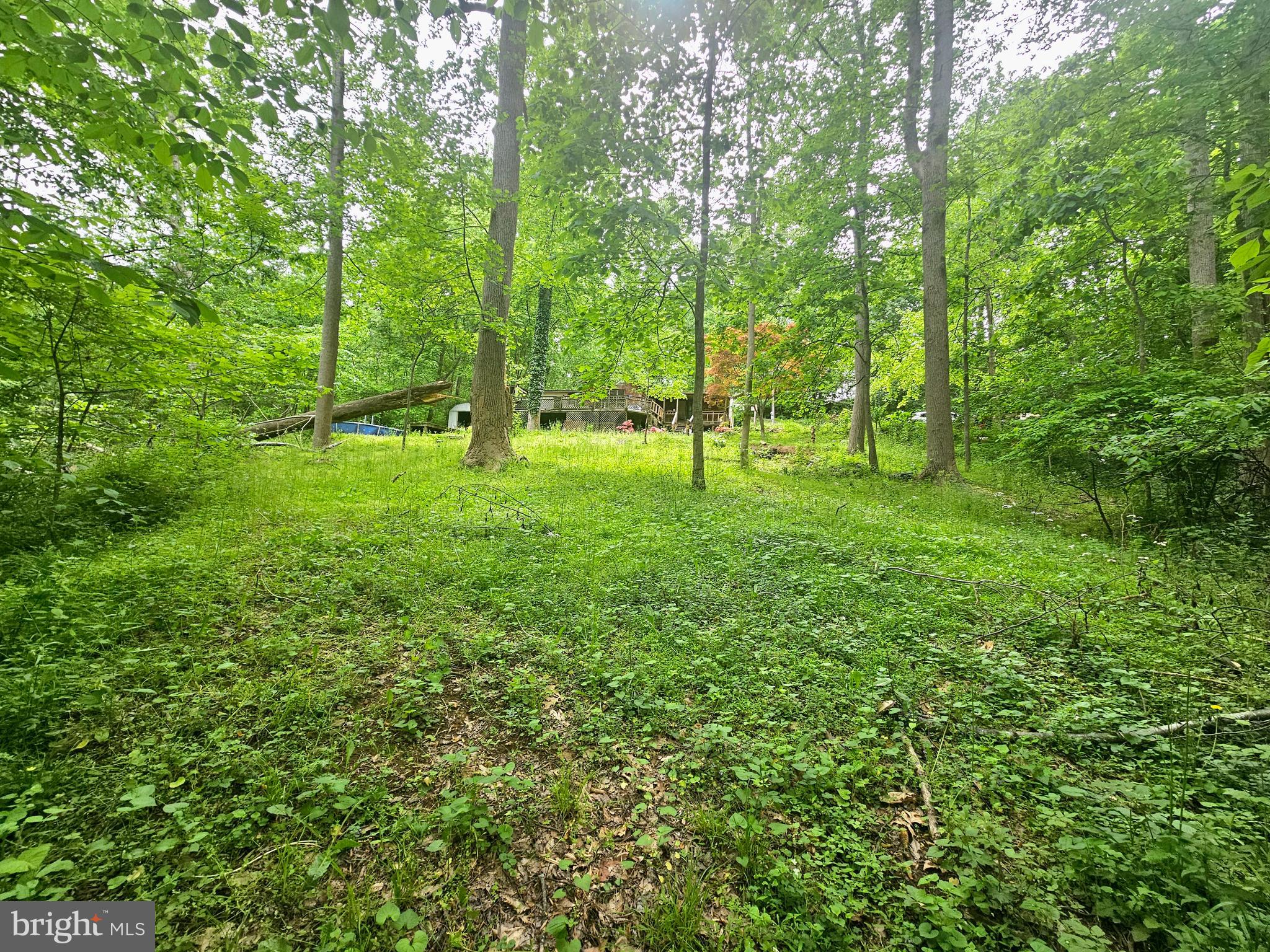 POTOMAC HILLS - Residential