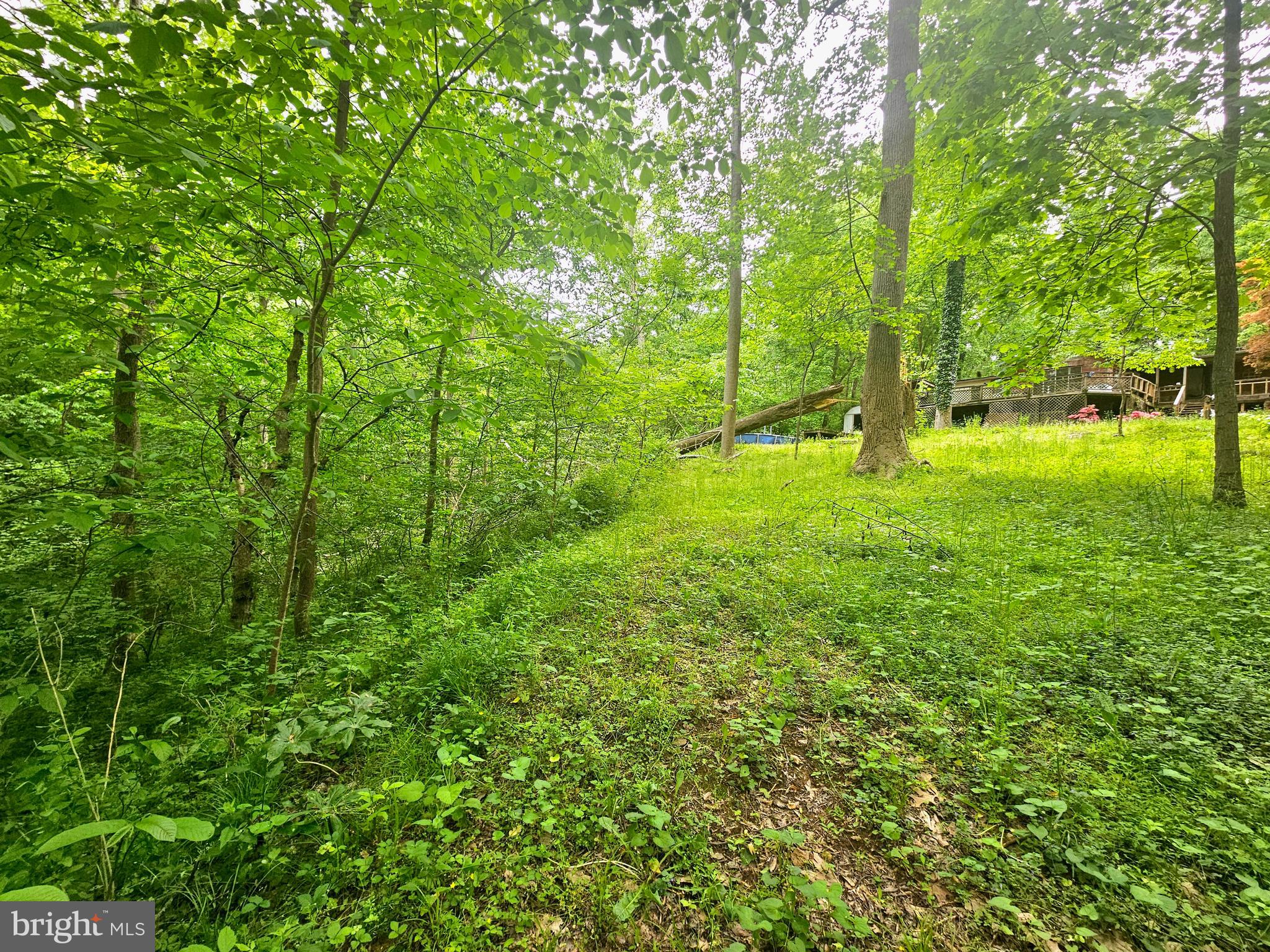 POTOMAC HILLS - Residential