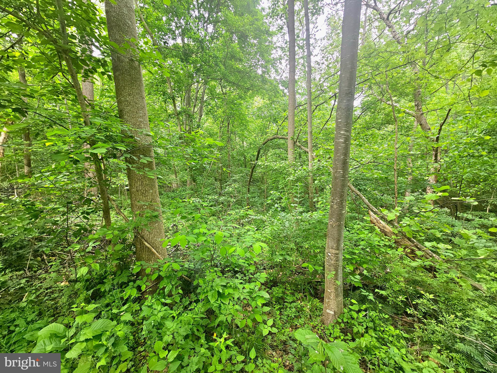 POTOMAC HILLS - Residential