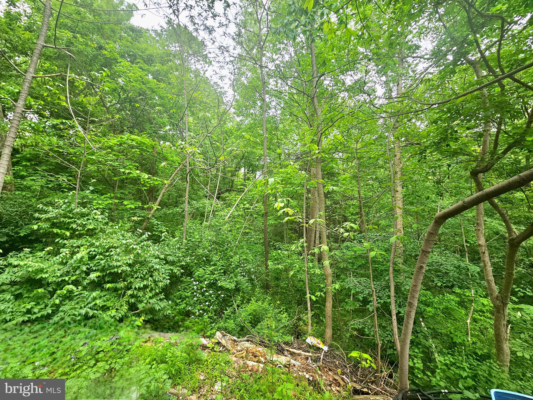 POTOMAC HILLS - Residential