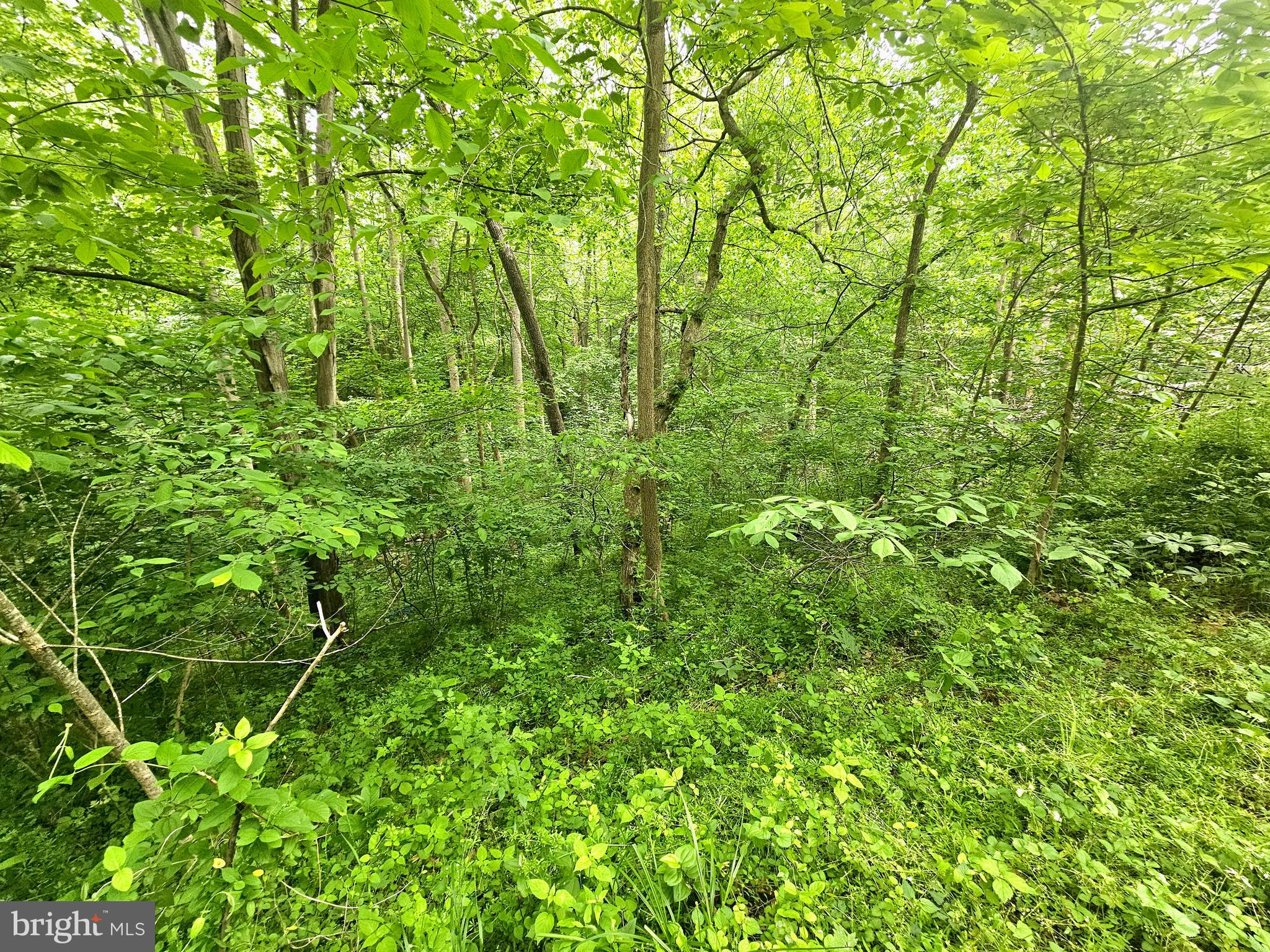 POTOMAC HILLS - Residential