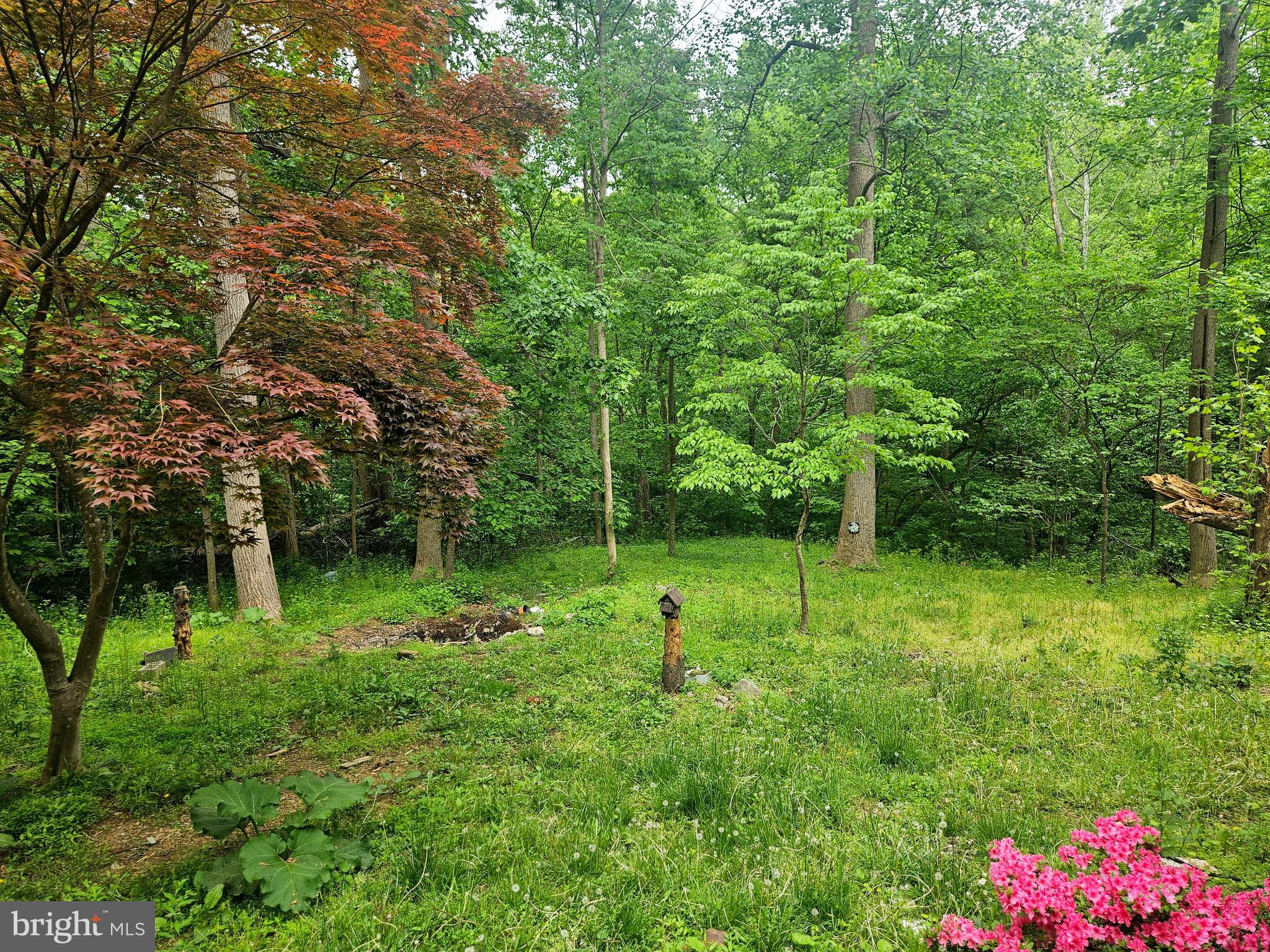 POTOMAC HILLS - Residential