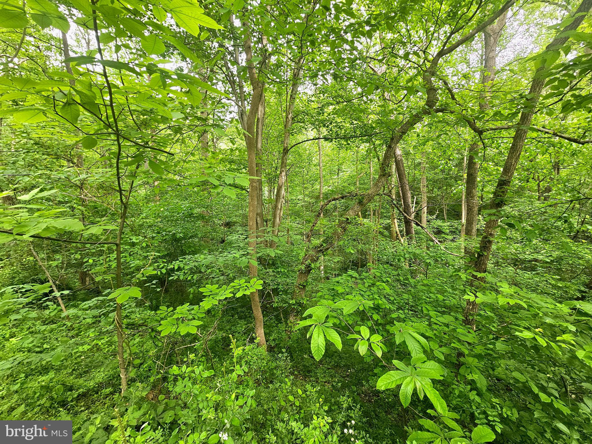 POTOMAC HILLS - Residential