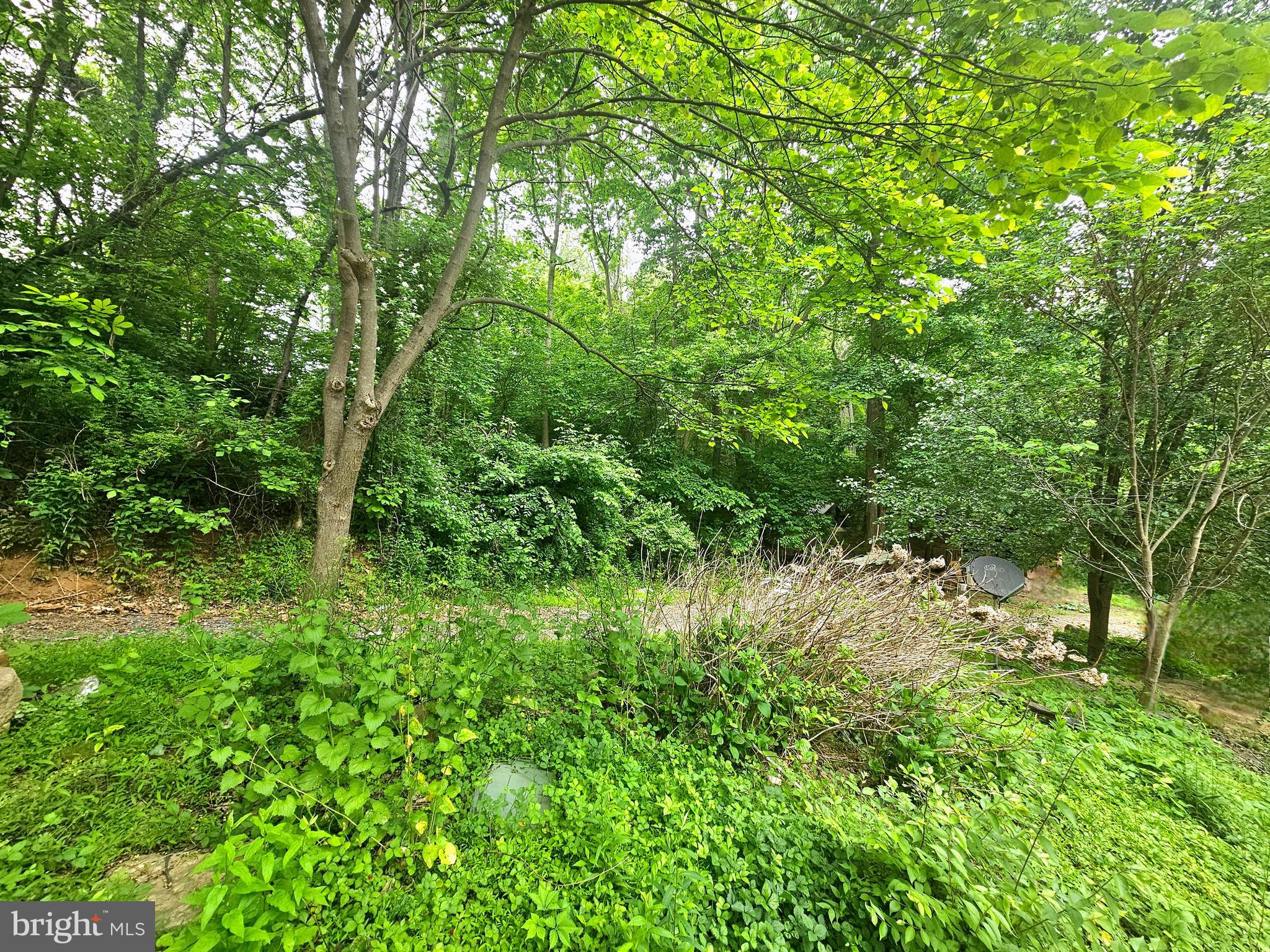 POTOMAC HILLS - Residential