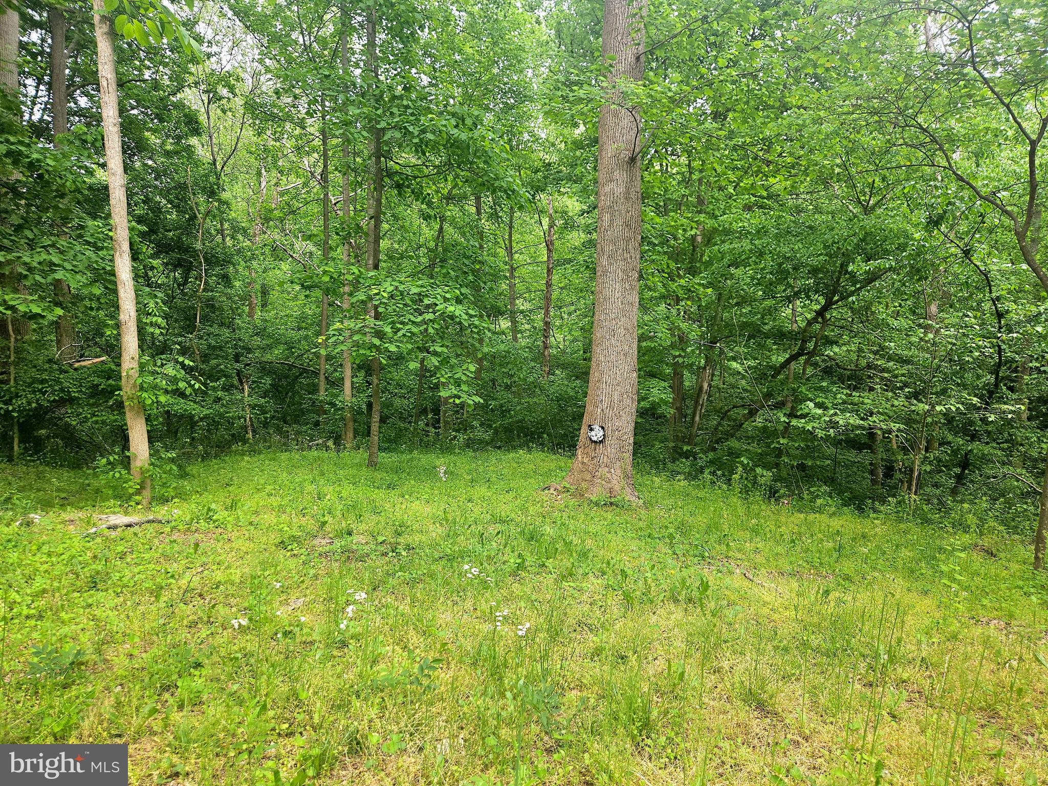 POTOMAC HILLS - Residential