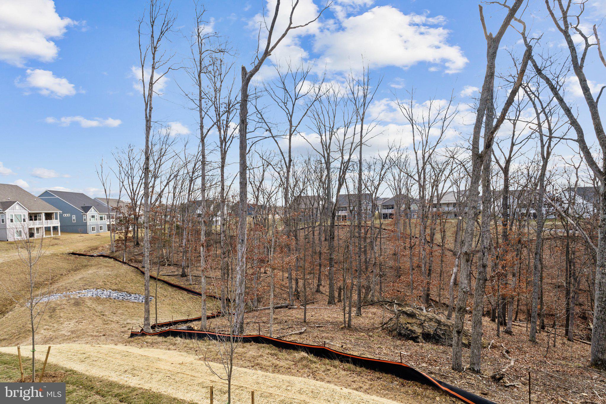 SHENANDOAH - Residential