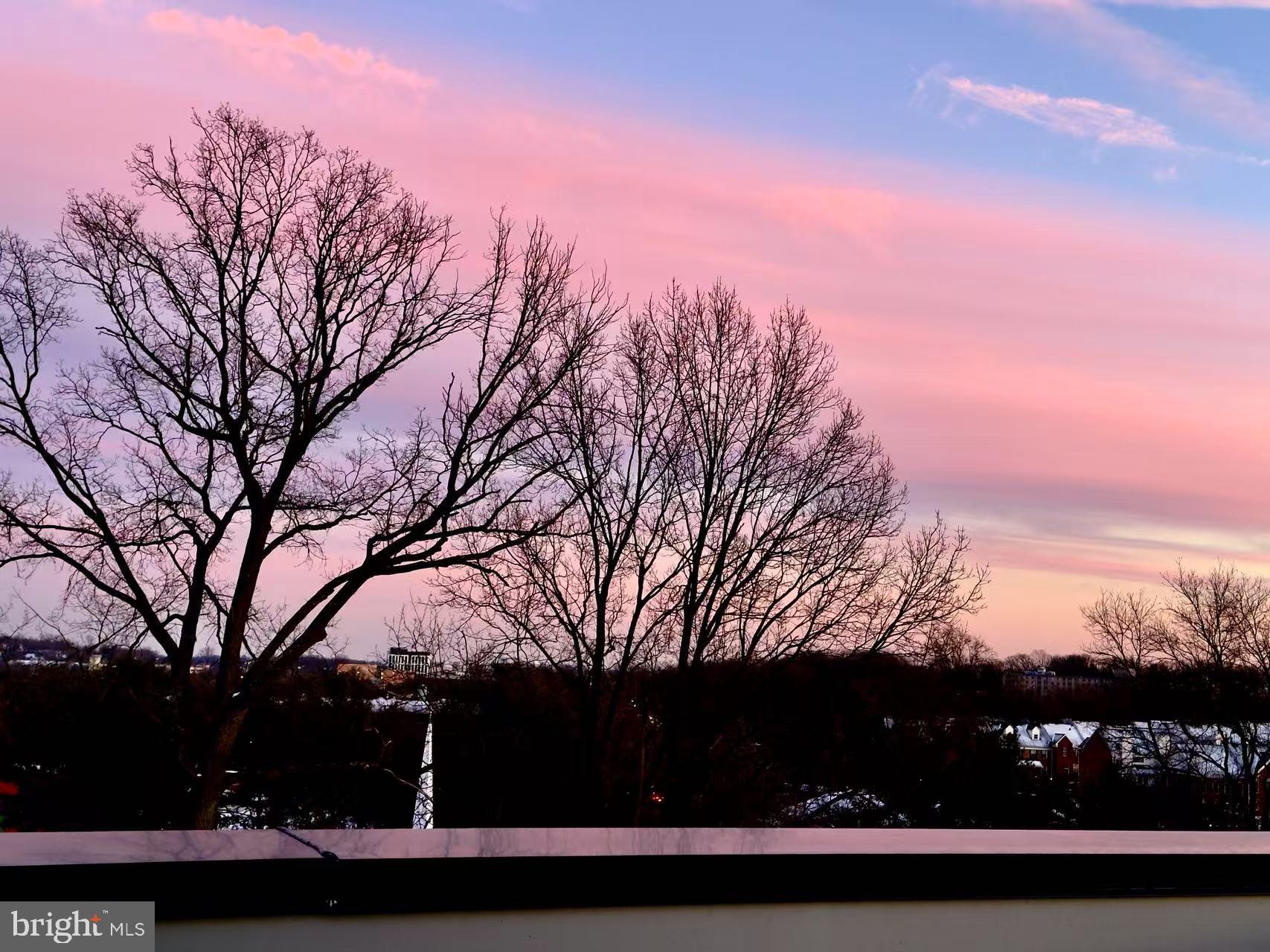 TYSONS RIDGE - Residential Lease