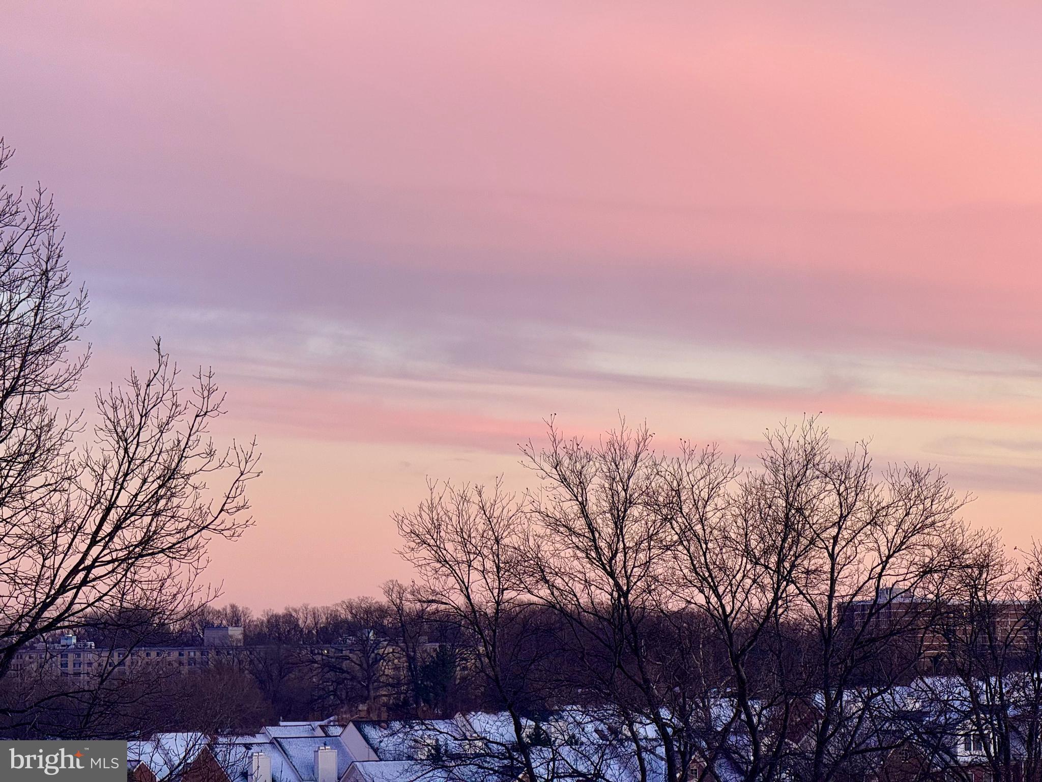 TYSONS RIDGE - Residential Lease