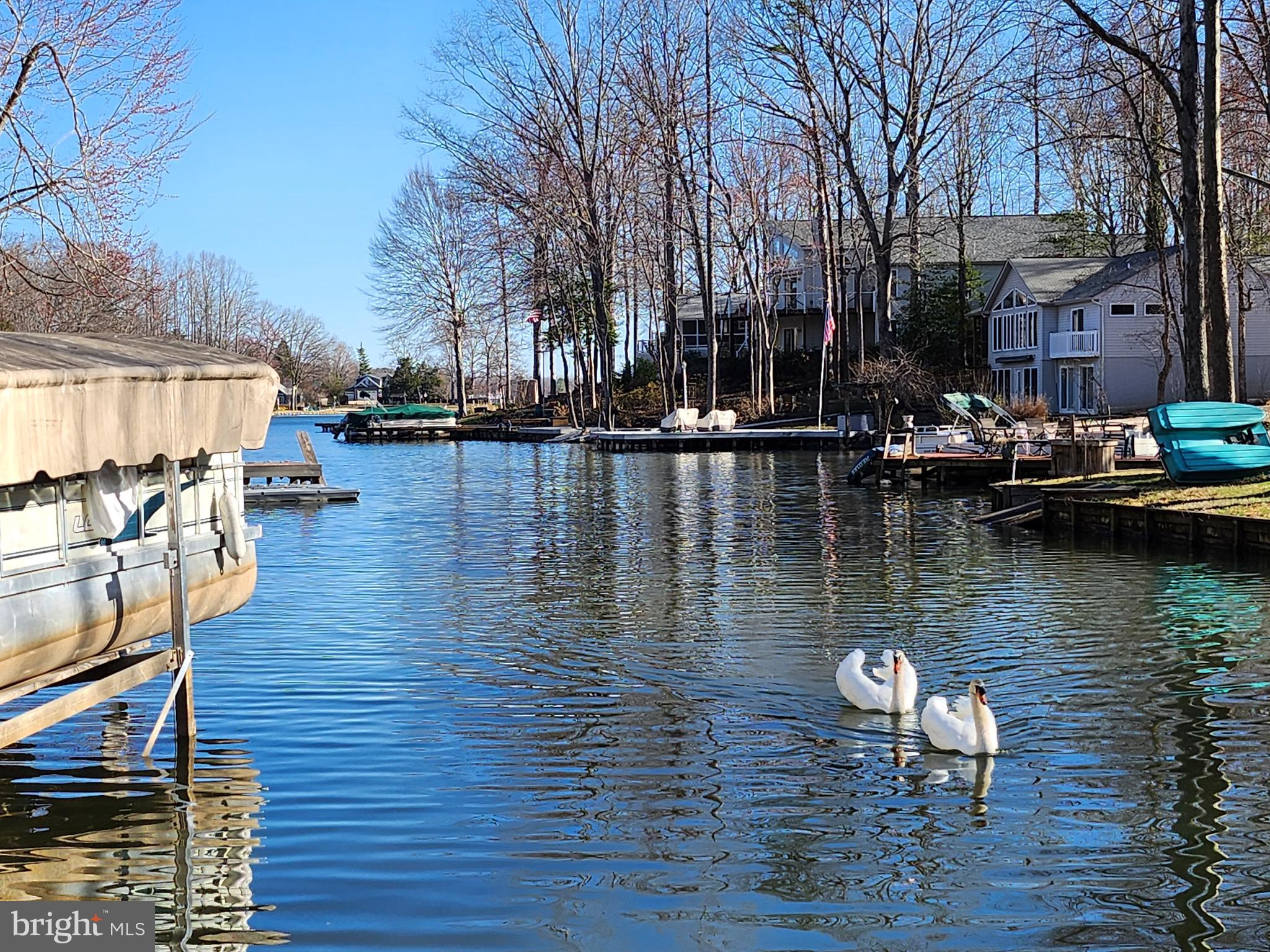 LAKE OF THE WOODS - Residential