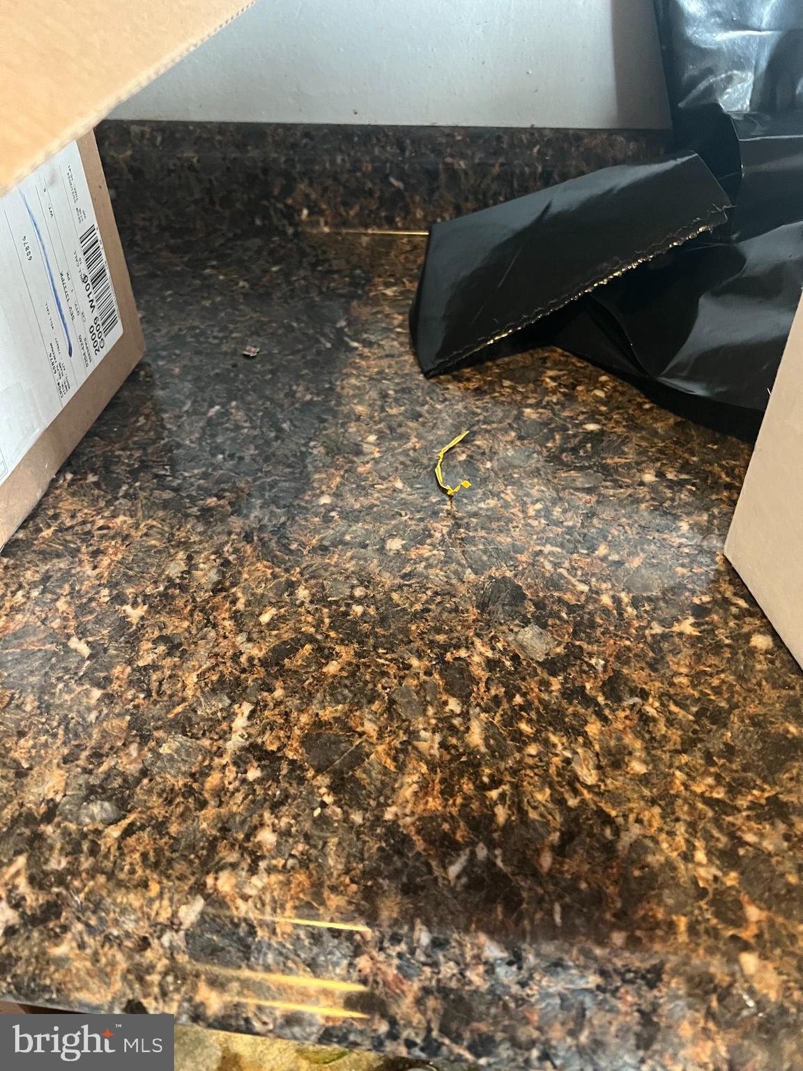 CENTRAL PARK CONDO - Residential