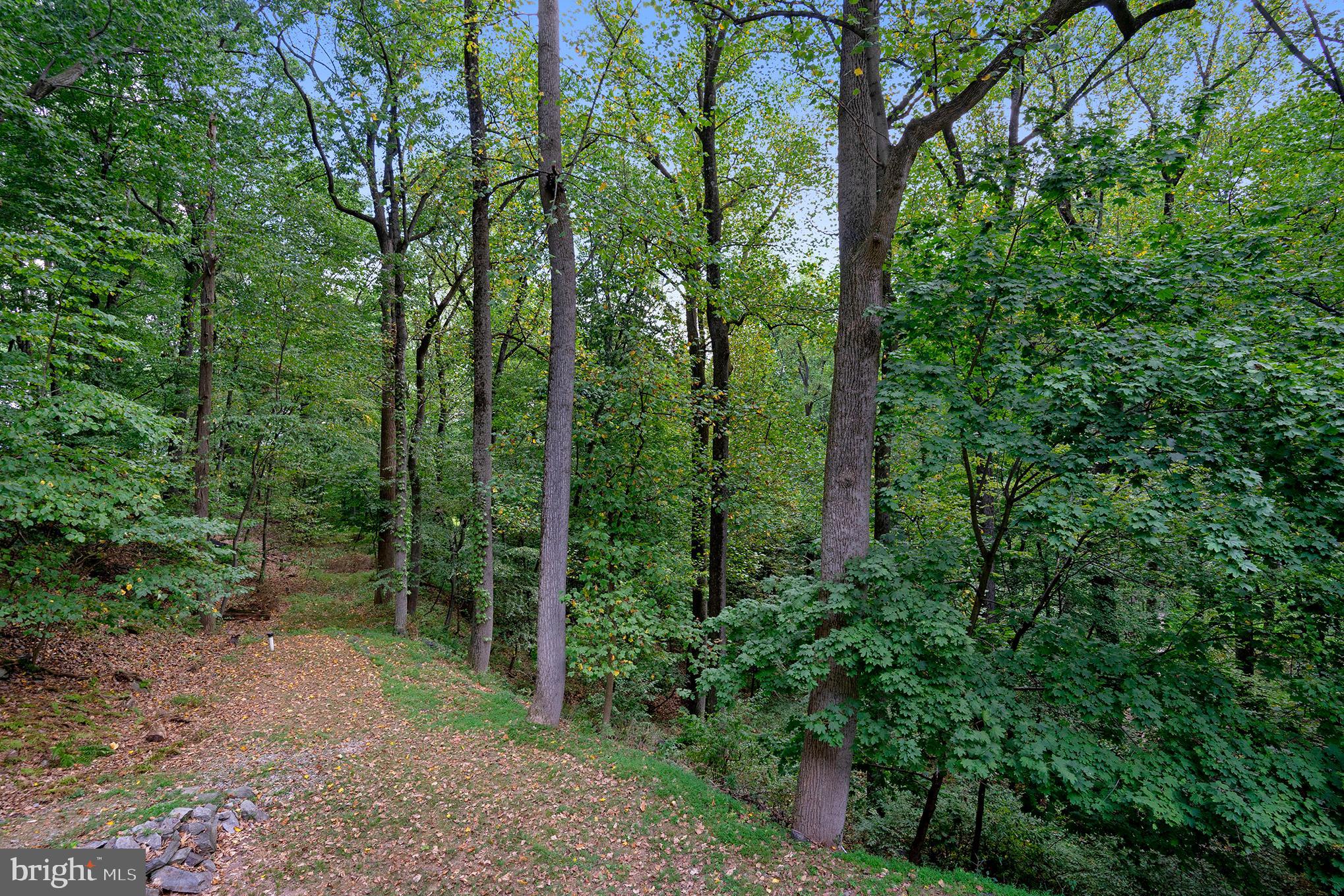 VALLEY FORGE MTN - Residential