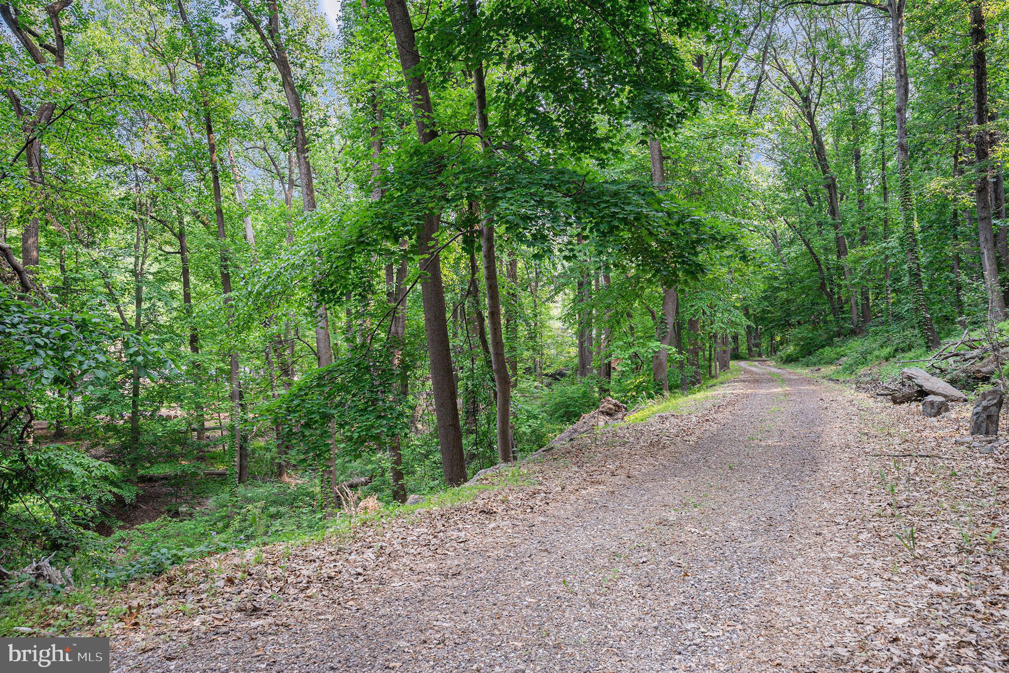 VALLEY FORGE MTN - Residential