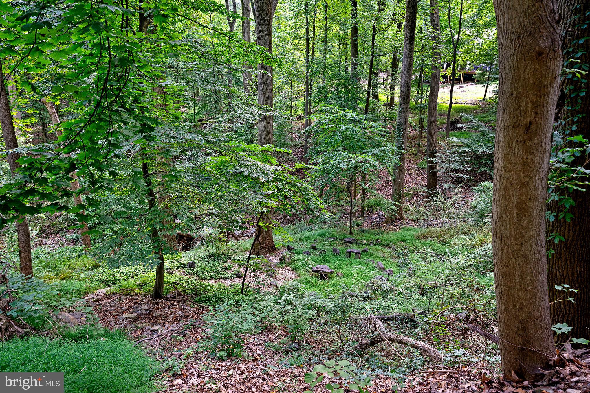 VALLEY FORGE MTN - Residential