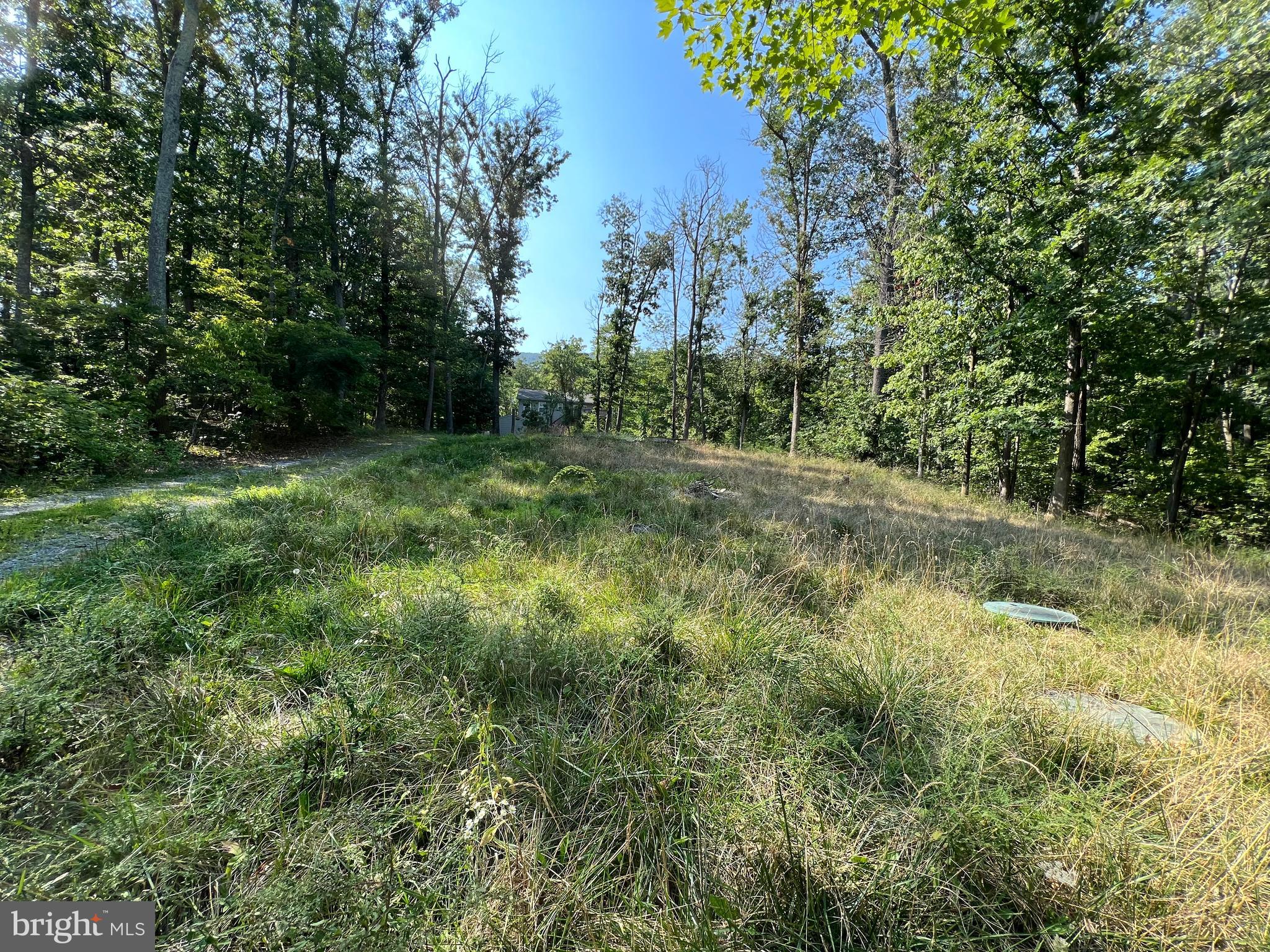 WILDE ACRES/ MTN FALLS - Land