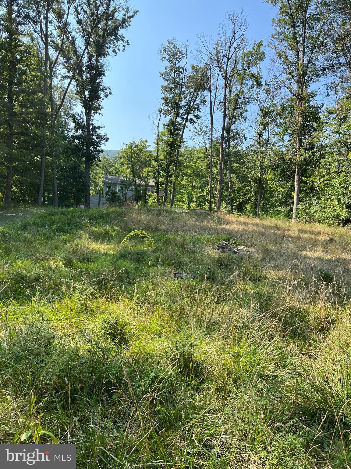 WILDE ACRES/ MTN FALLS - Land