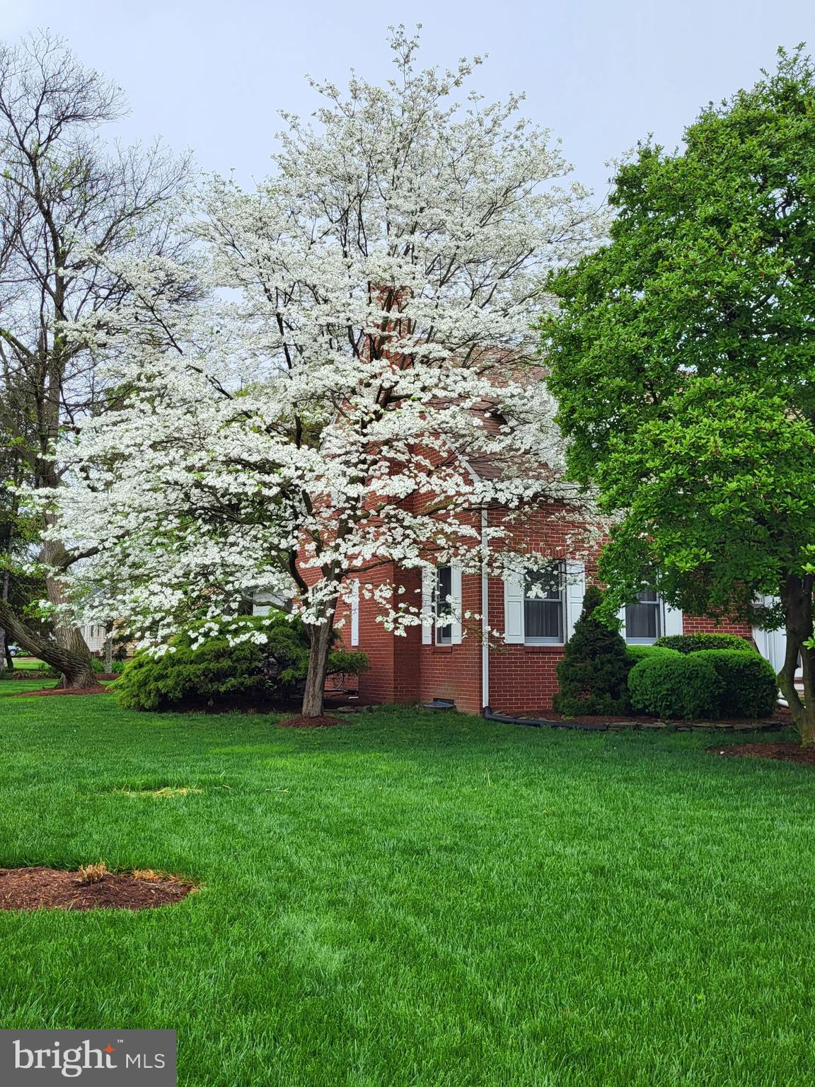 COLLEGE HEIGHTS - Residential