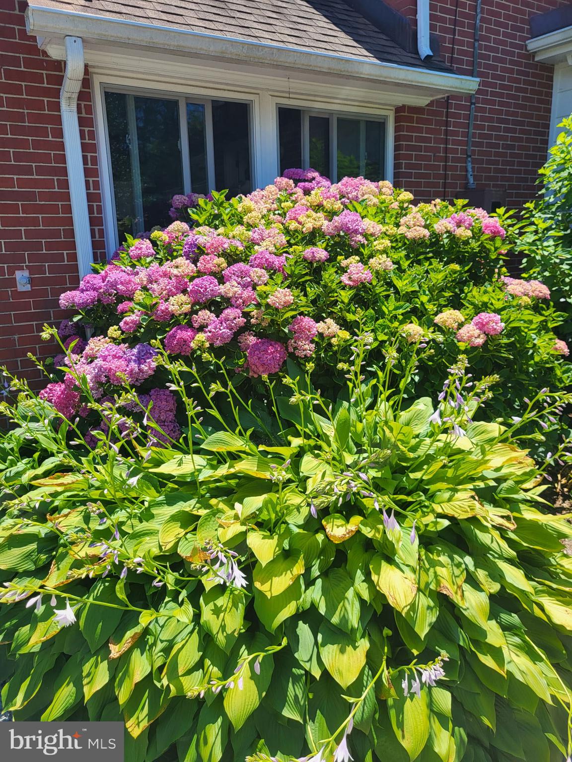 COLLEGE HEIGHTS - Residential