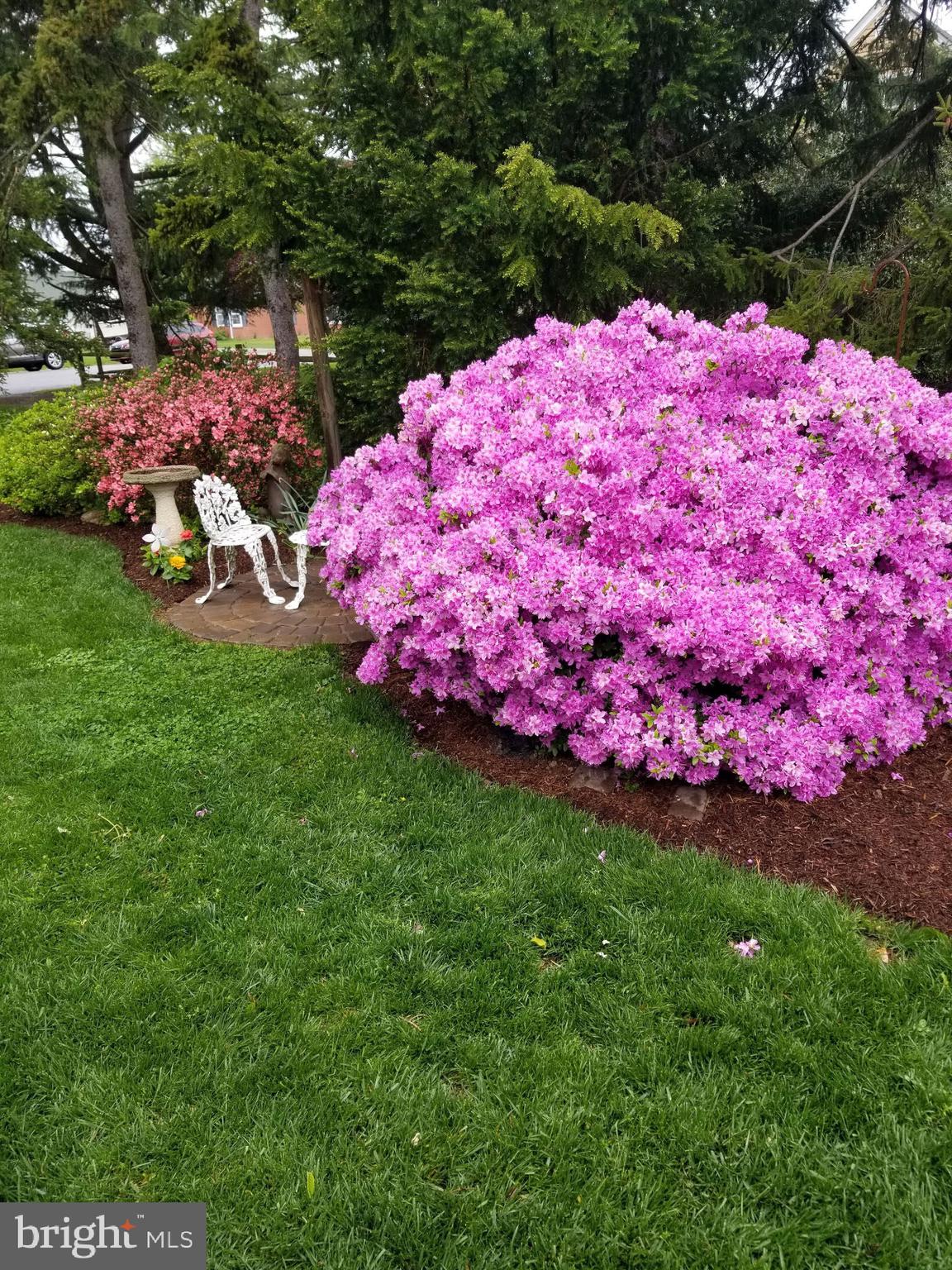 COLLEGE HEIGHTS - Residential