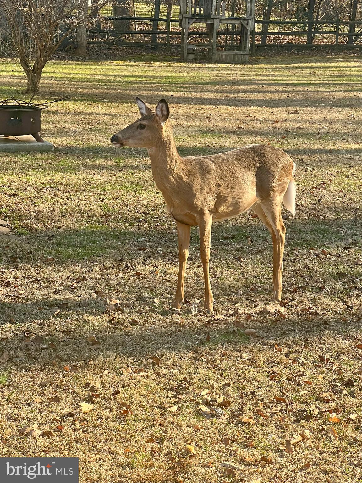 QUAIL RIDGE - Residential
