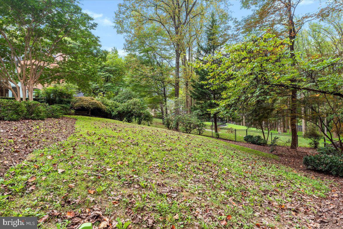 WHITE FLINT SPRINGS - Residential