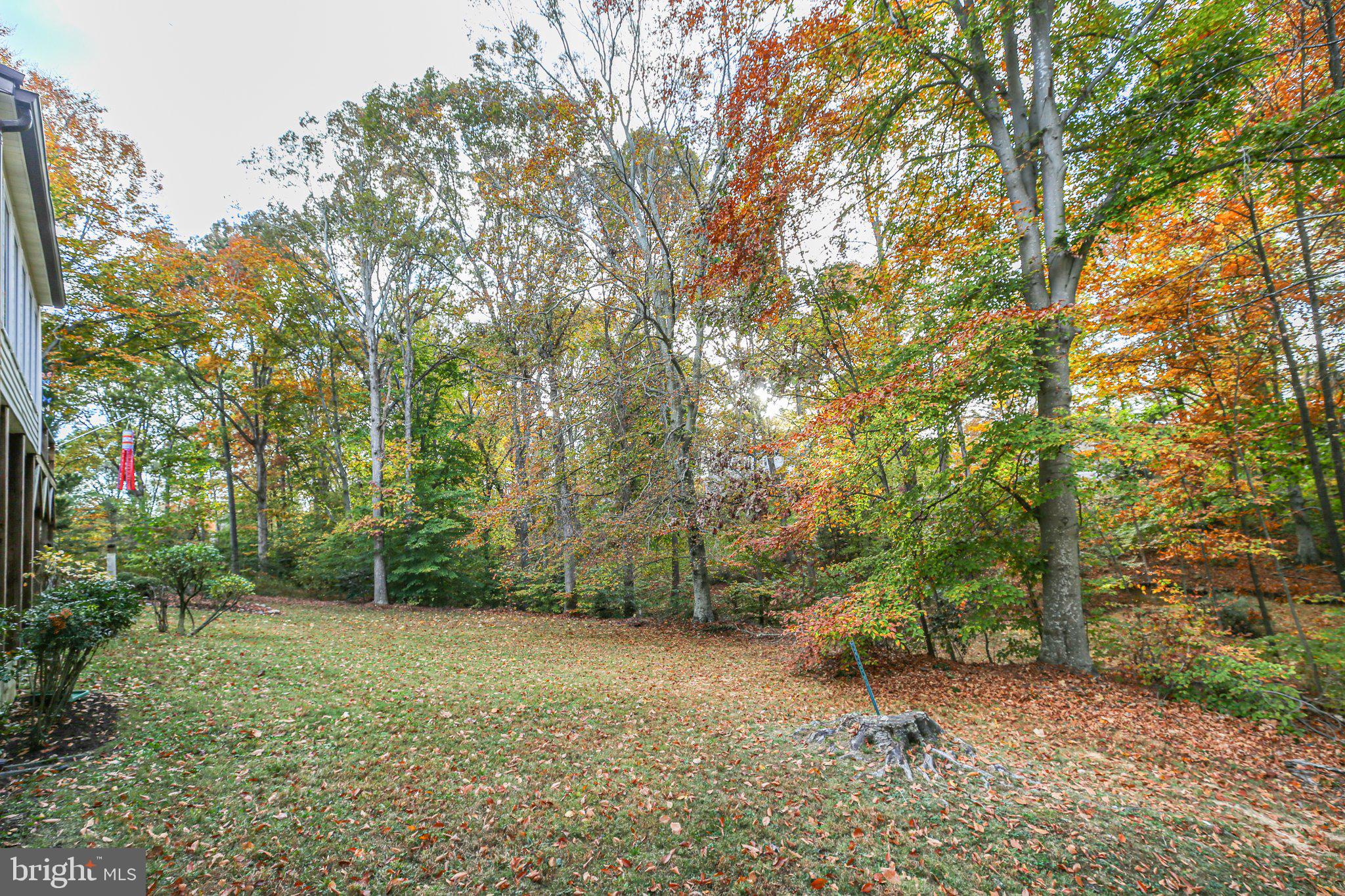 CLAYBURNE WOODS - Residential