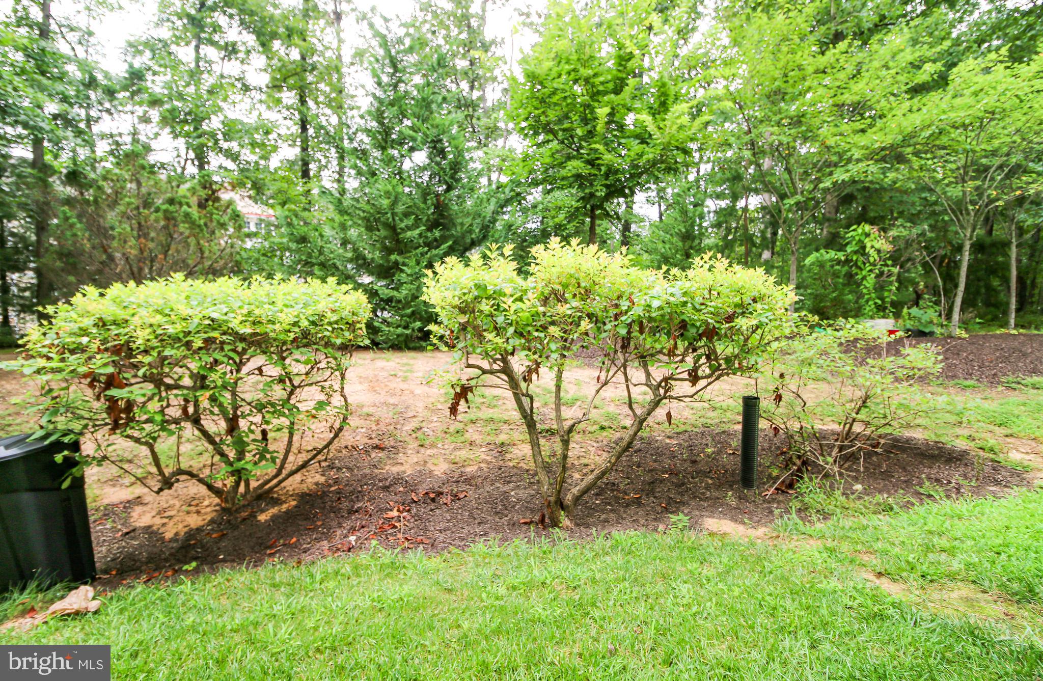 CREEKSIDE VILLAGE - Residential Lease