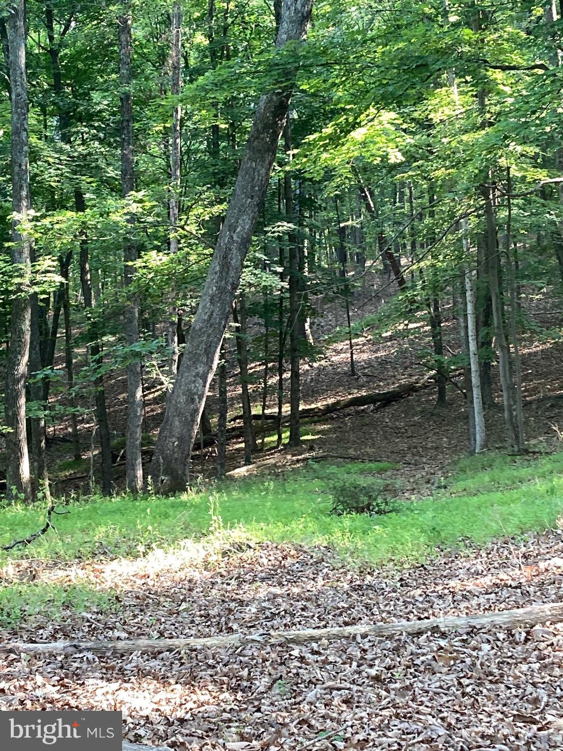 TIMBER RIDGE - Residential