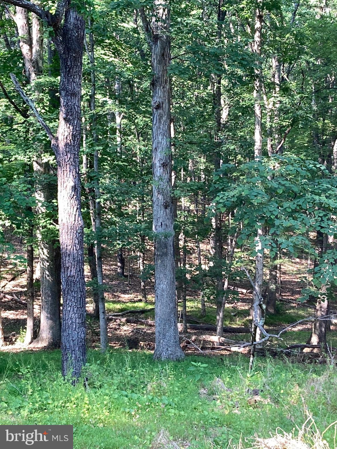 TIMBER RIDGE - Residential