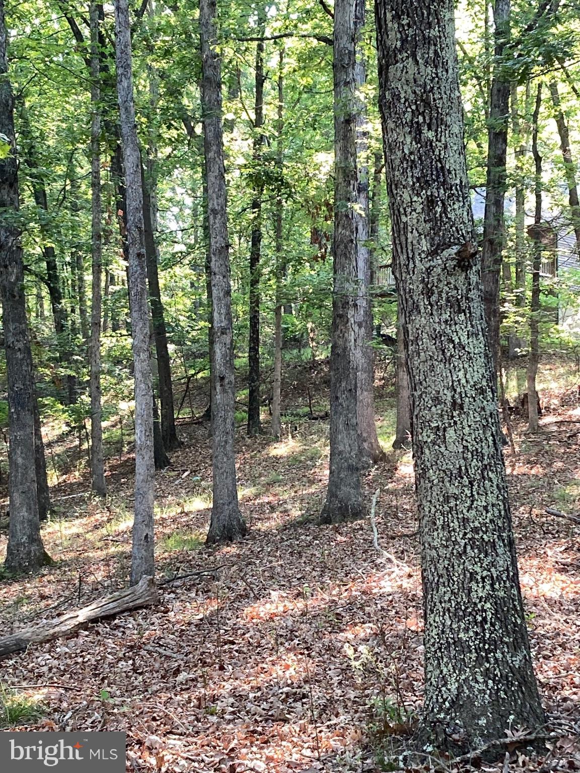 TIMBER RIDGE - Residential