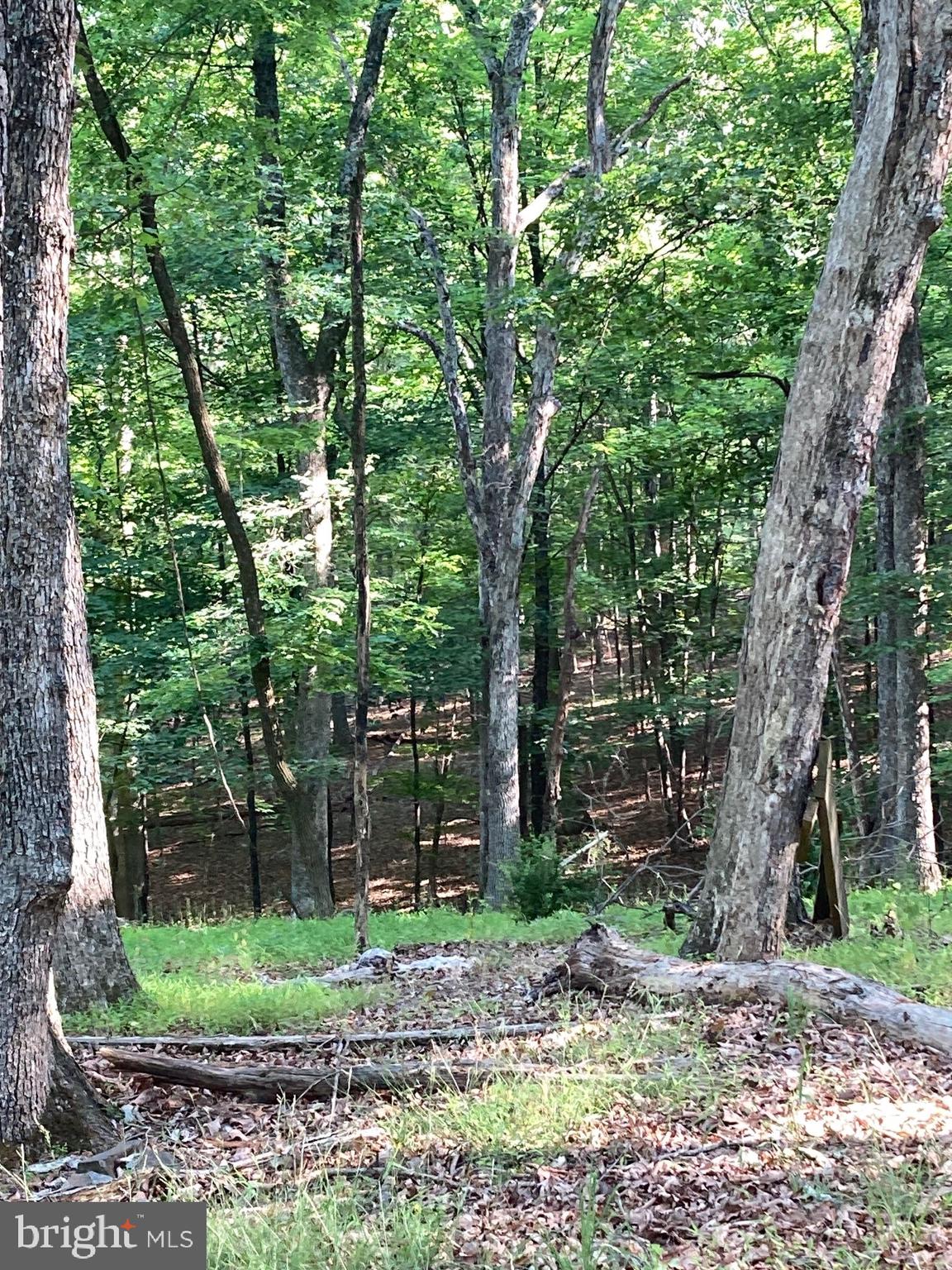 TIMBER RIDGE - Residential