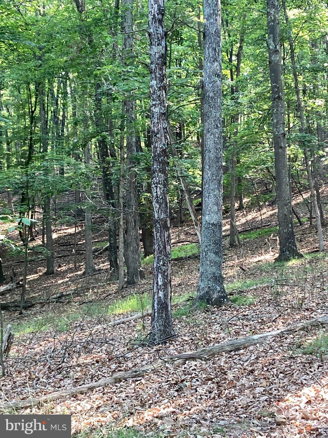 TIMBER RIDGE - Residential