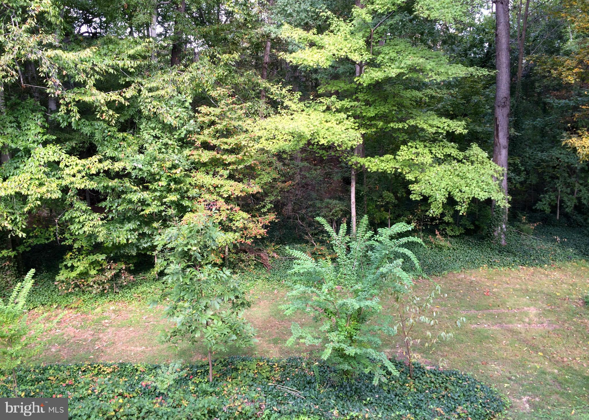 GREENWICH HILL - Residential Lease