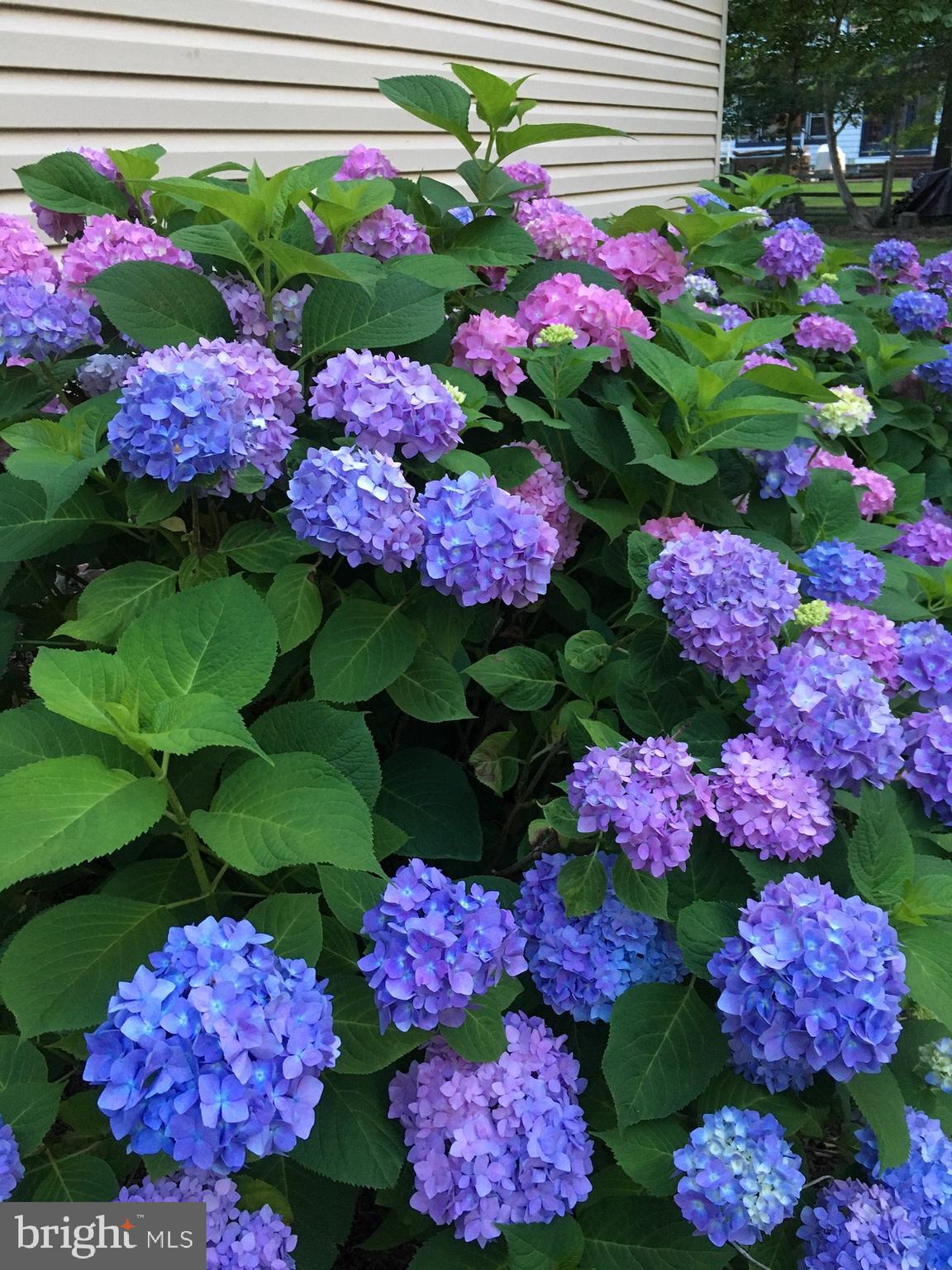 VIRGINIA RUN - Residential