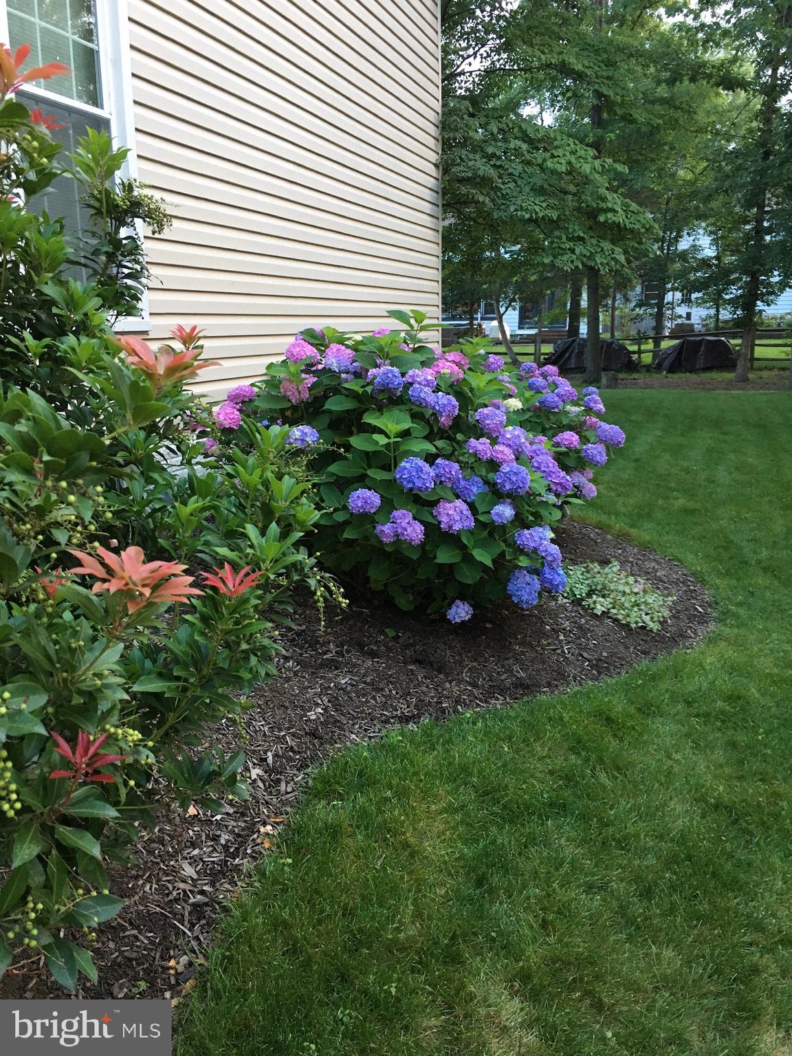 VIRGINIA RUN - Residential